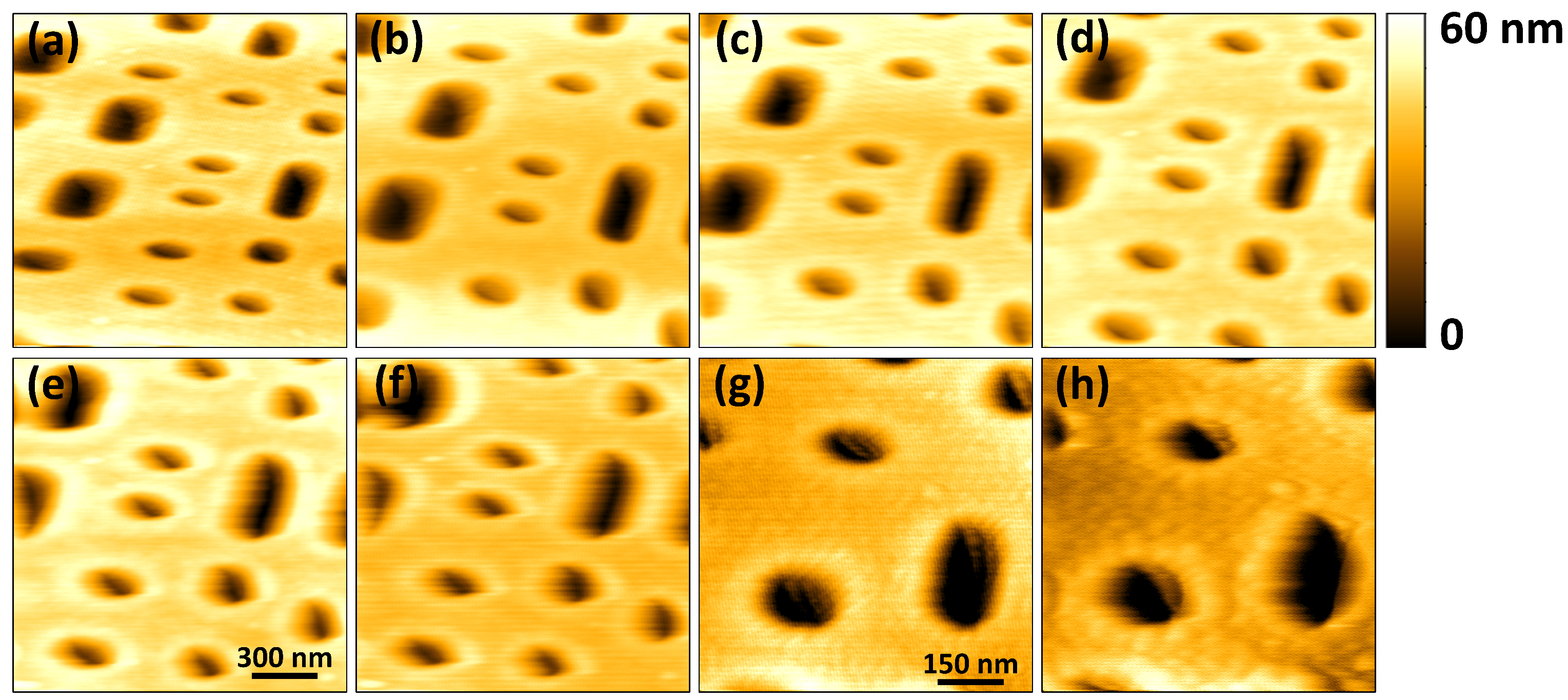 Sensors 21 00362 g009