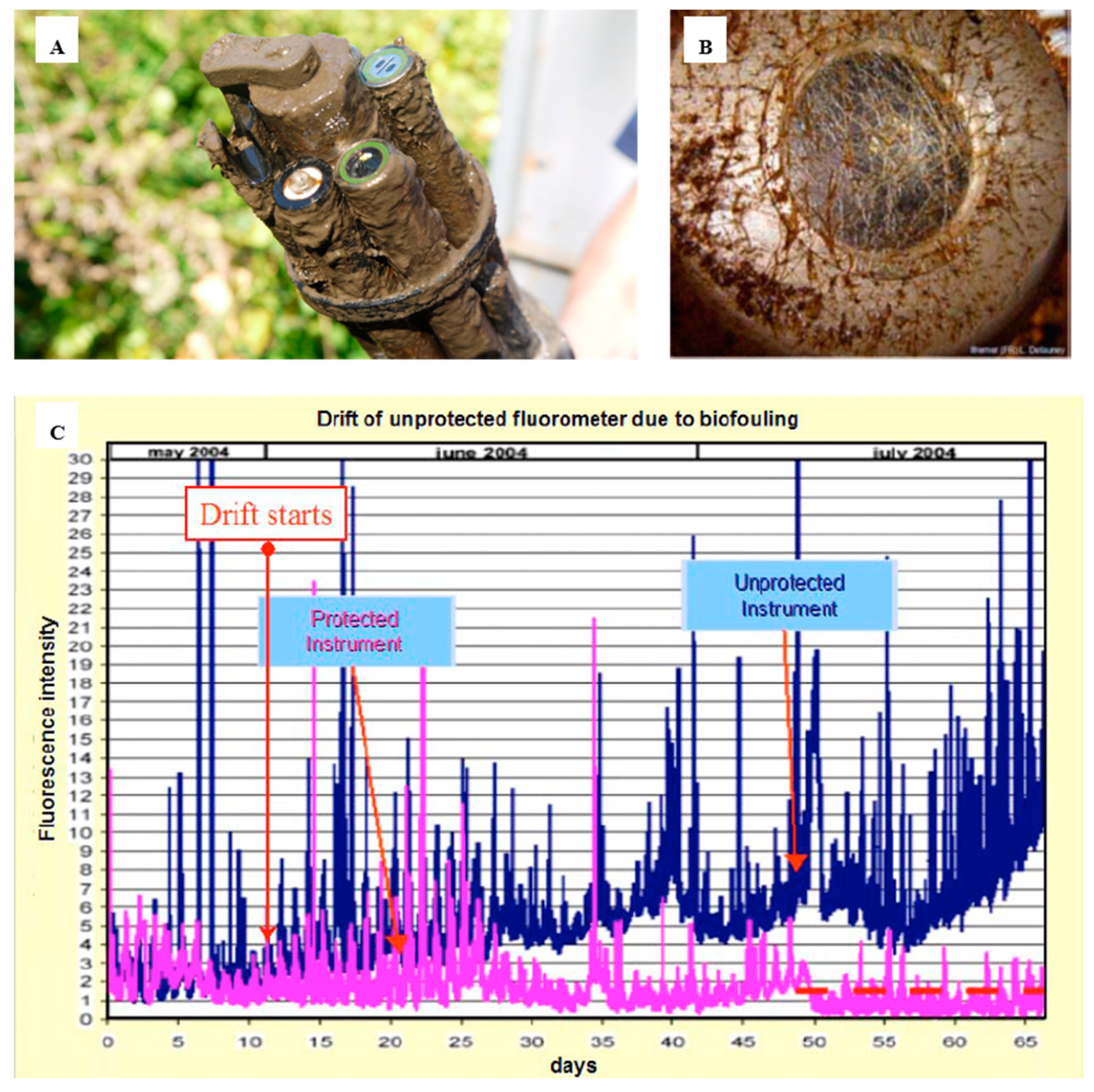 Sensors 21 00389 g002