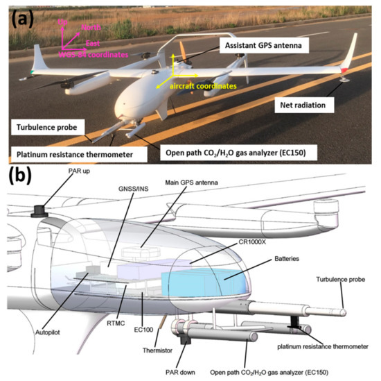 A UAV-Based Eddy Covariance System for Measurement of Mass and 