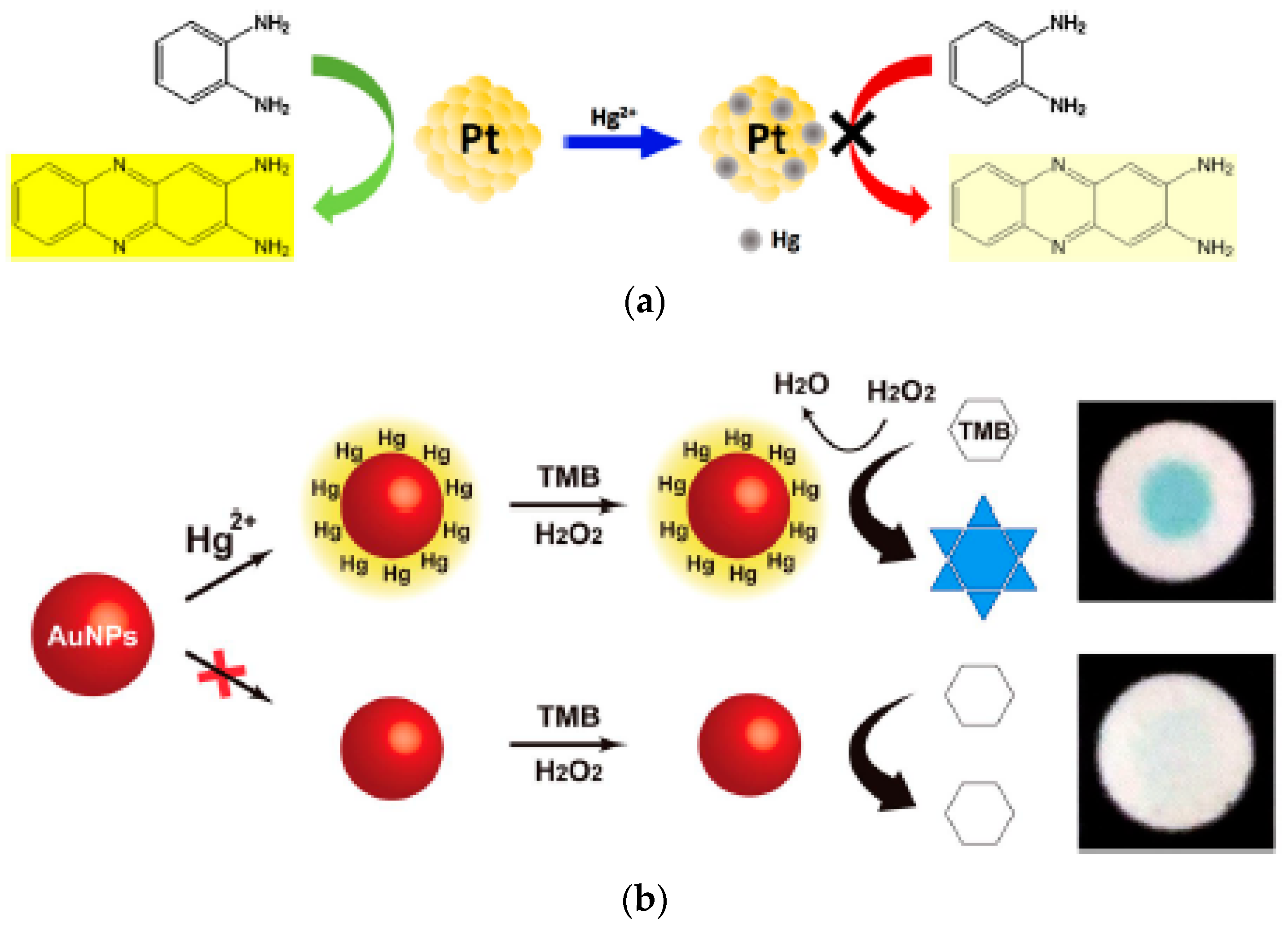 Sensors 21 00408 g007 Sensors 21 00408 g007