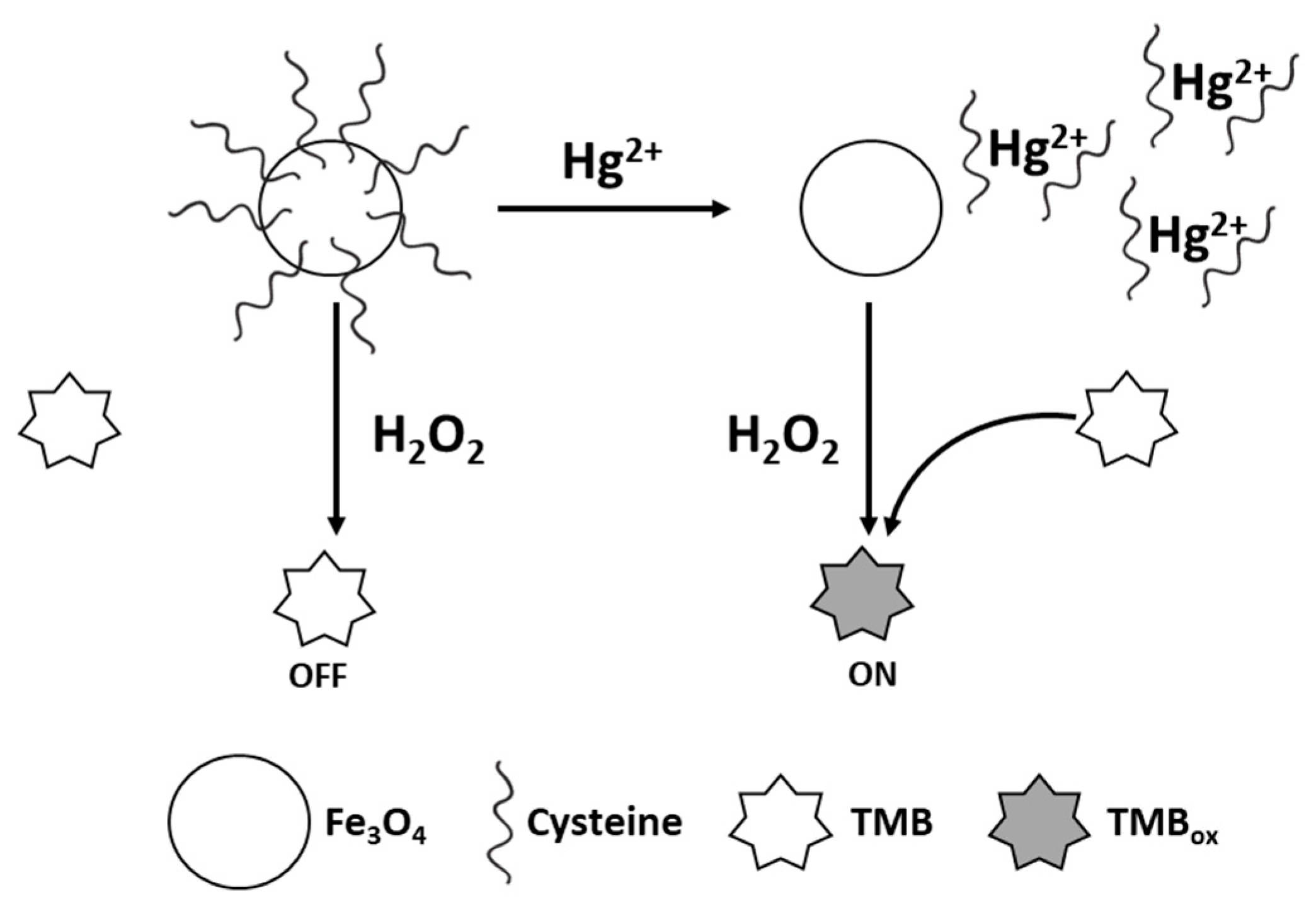 Sensors 21 00408 g008 Sensors 21 00408 g008