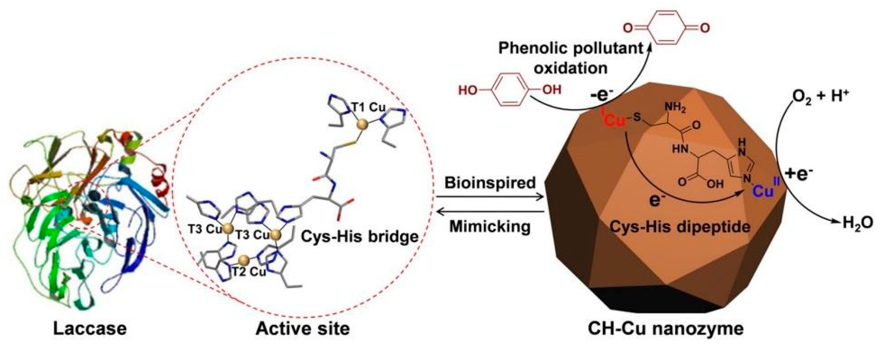 Sensors 21 00408 g019 Sensors 21 00408 g019