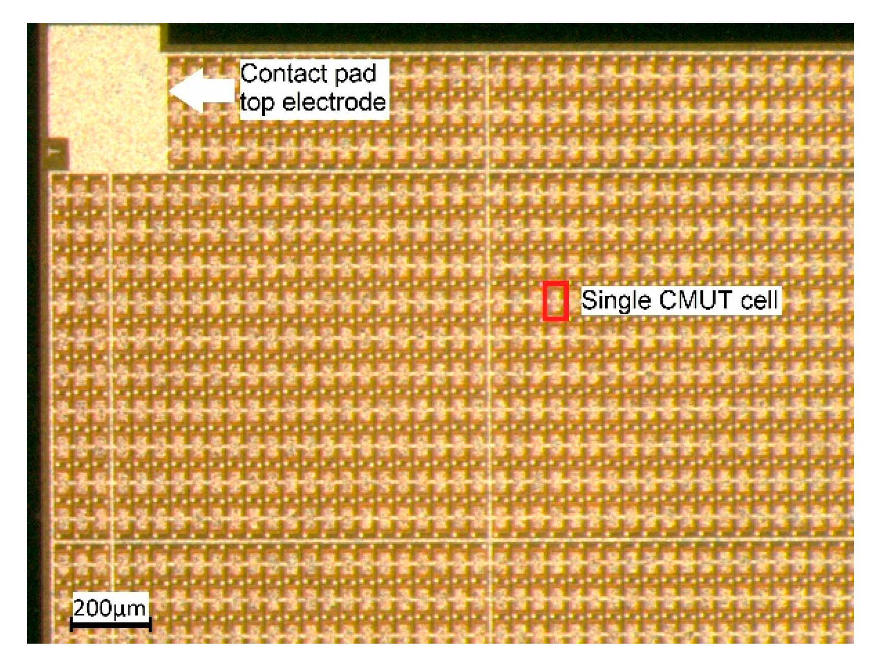 Sensors 21 00421 g002