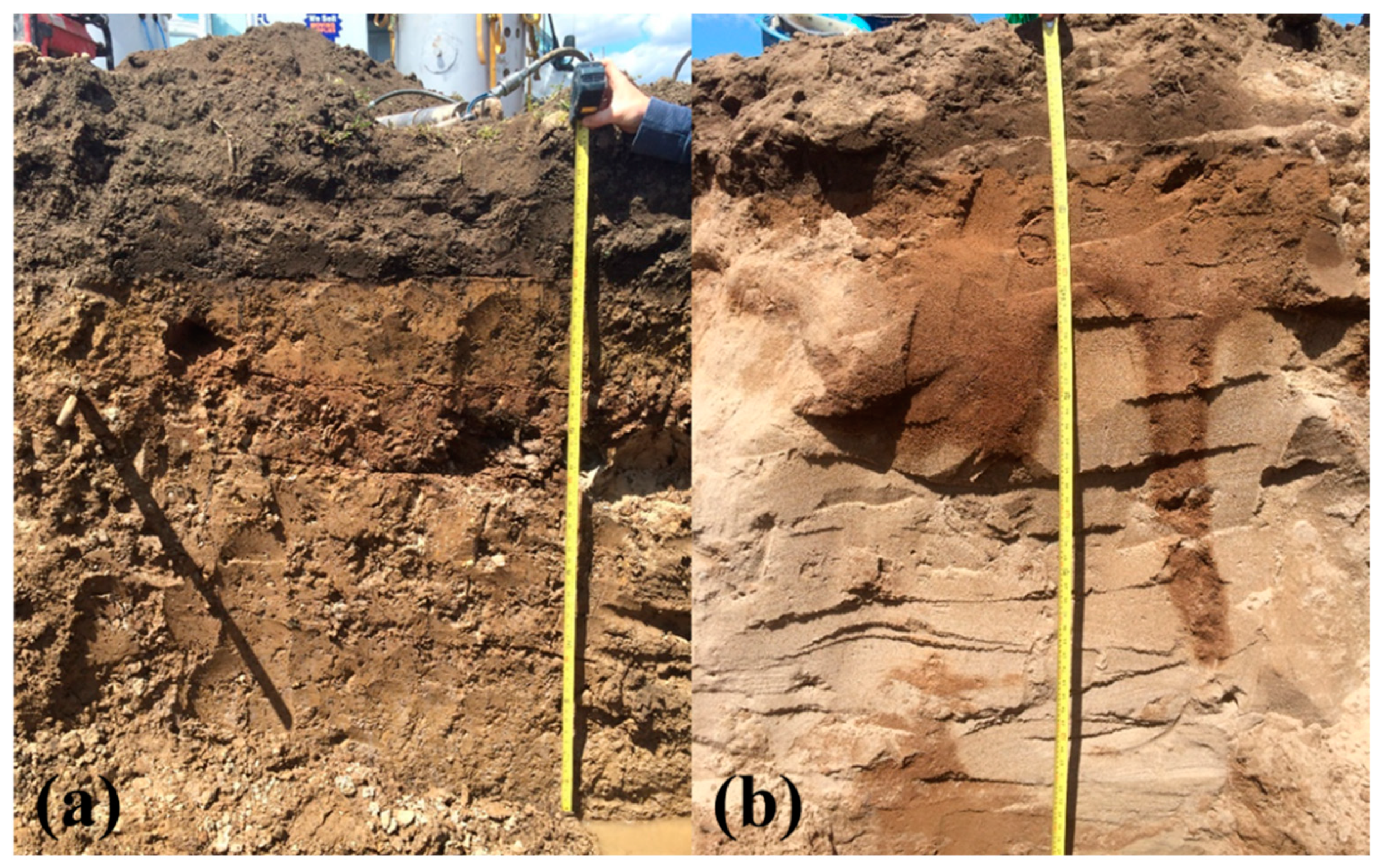 Sensors 21 00447 g002 Sensors 21 00447 g002
