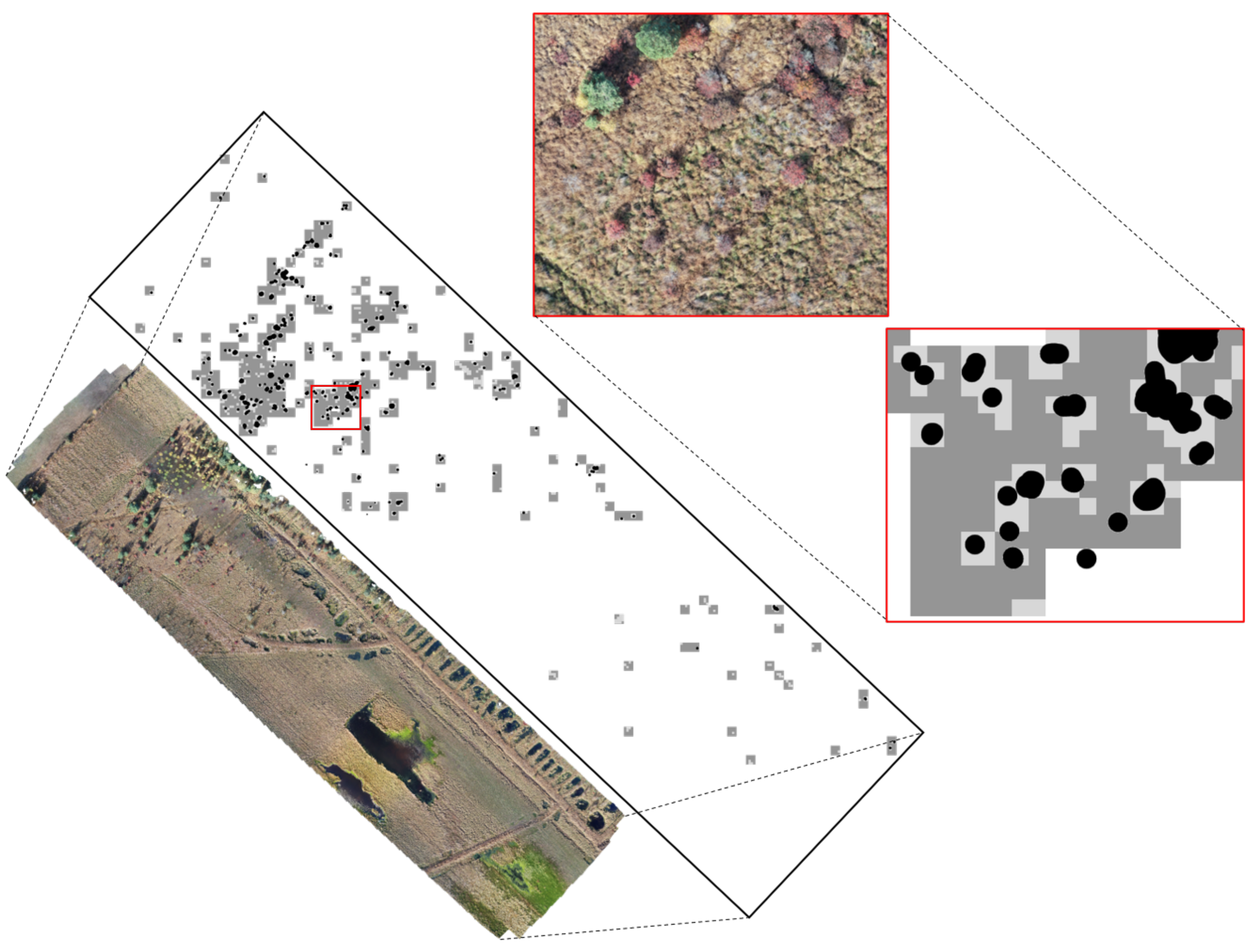 Sensors 21 00471 g008