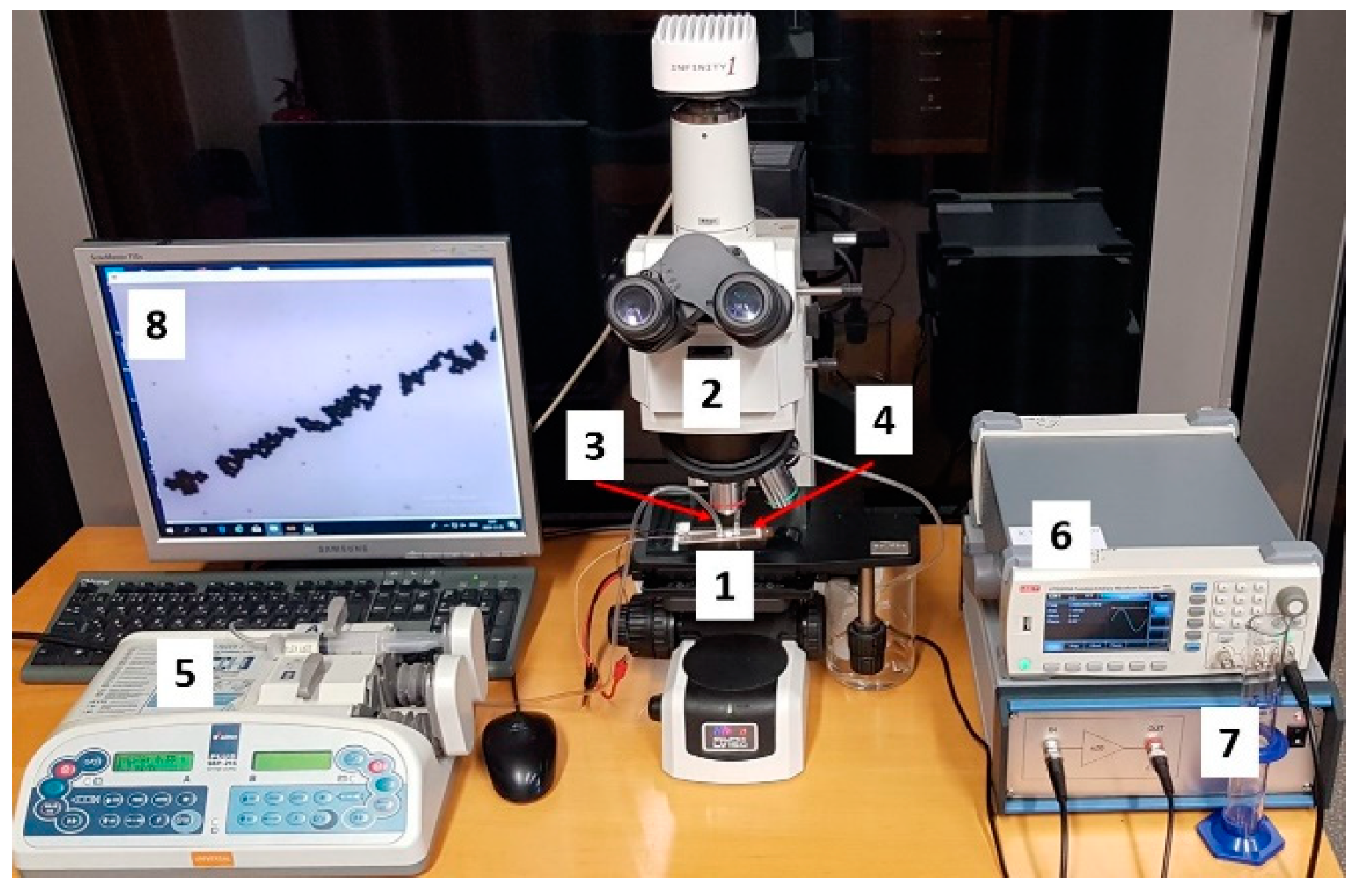 Sensors 21 00483 g016