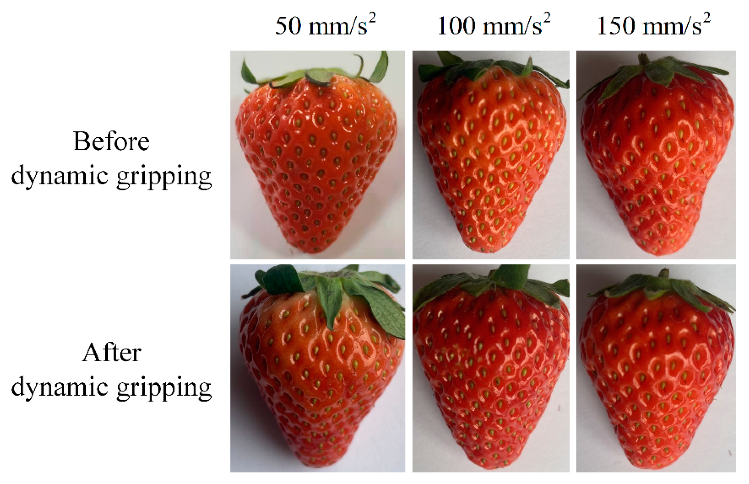 Sensors 21 00493 g015