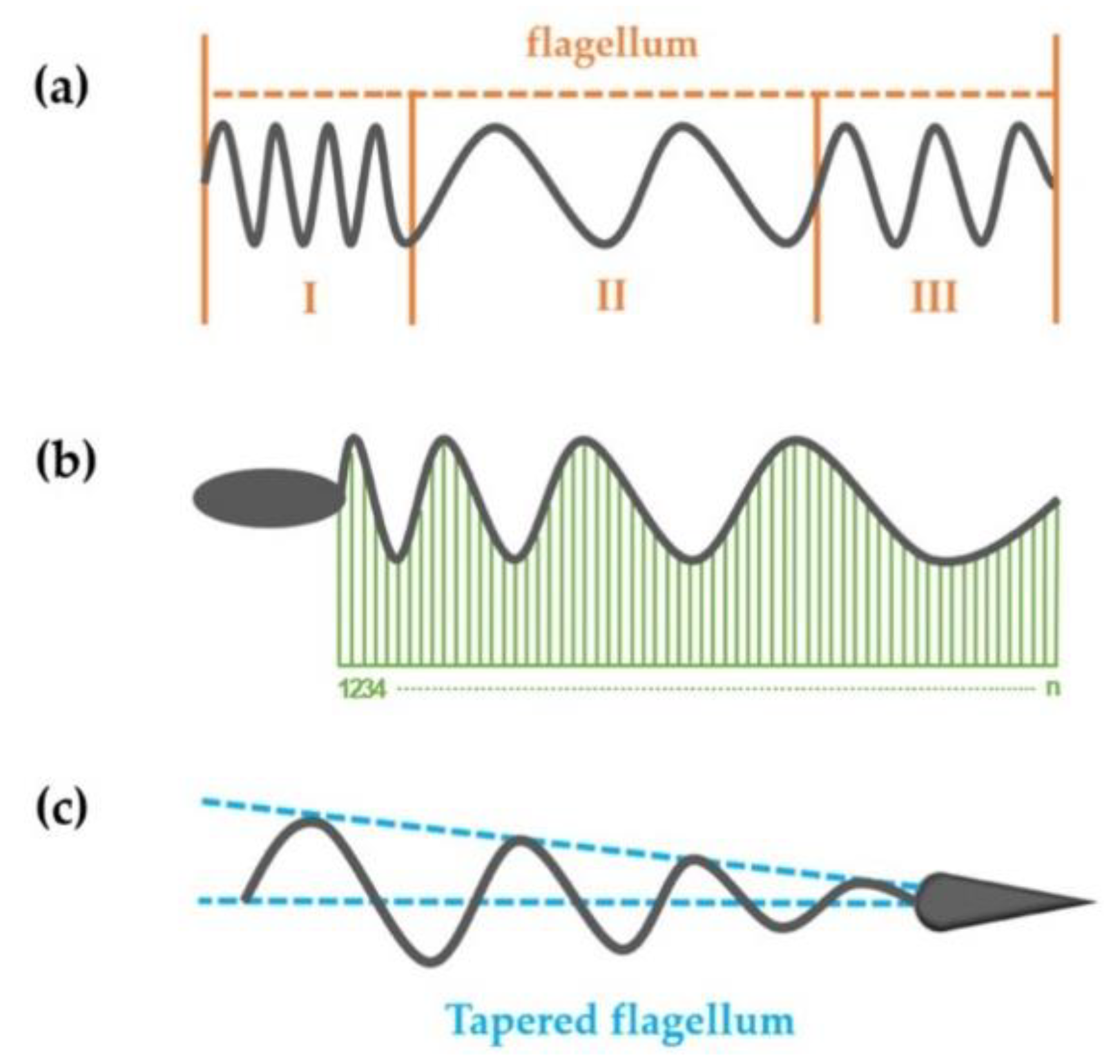 Sensors 21 00494 g008