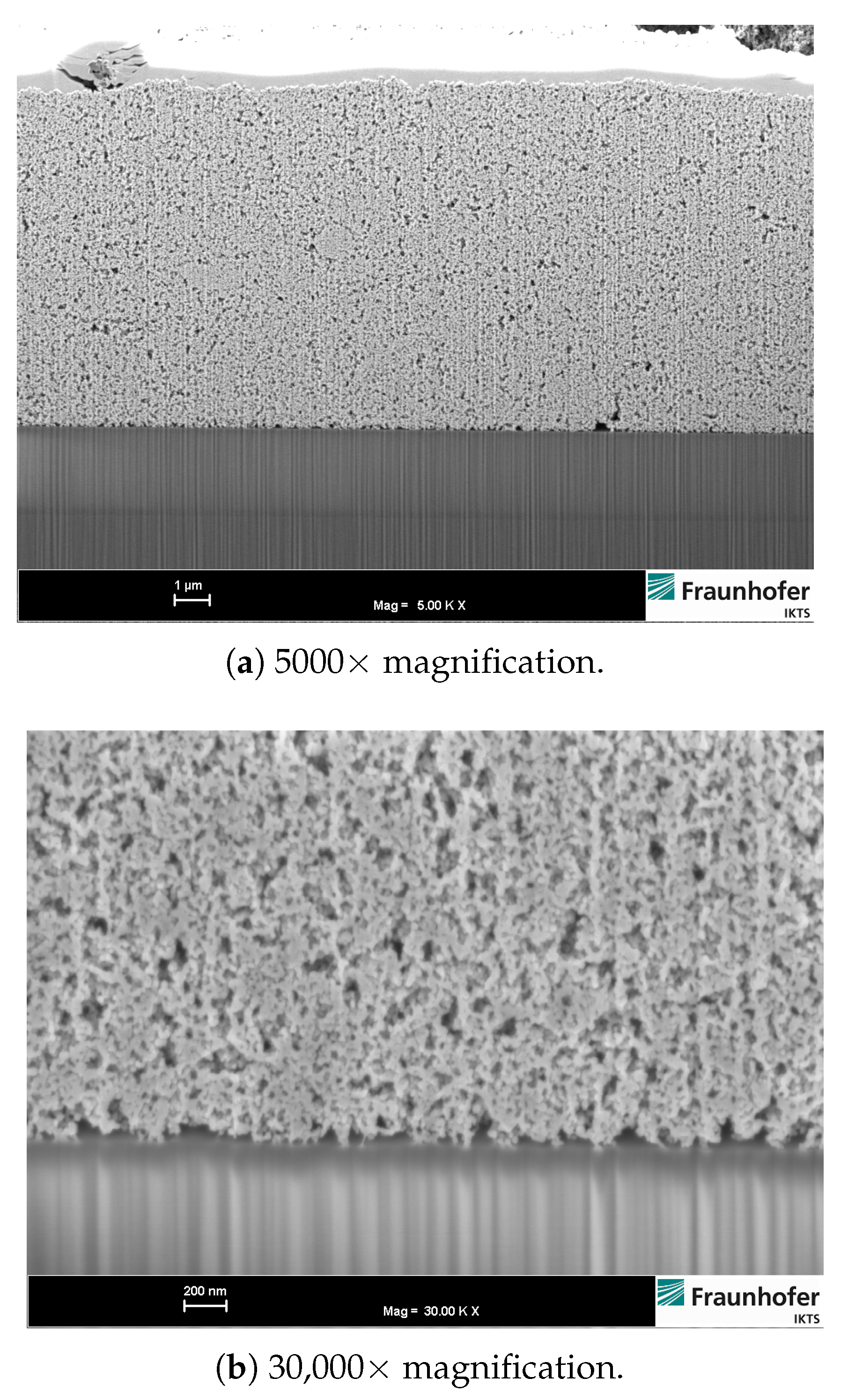 Sensors 21 00497 g005