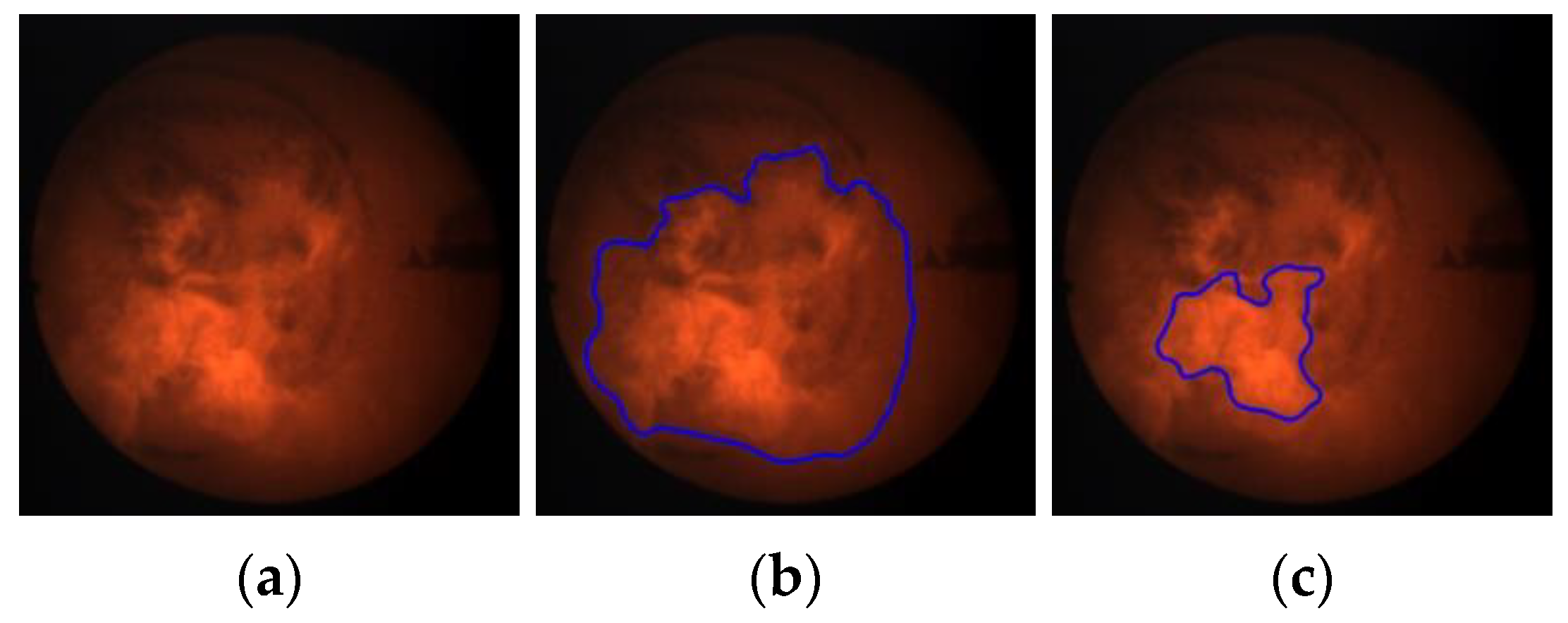 Sensors 21 00500 g006 Sensors 21 00500 g006