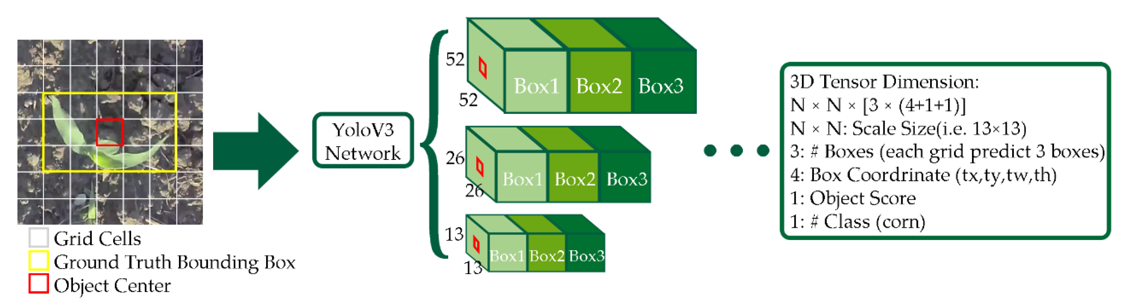 Sensors 21 00507 g003 Sensors 21 00507 g003