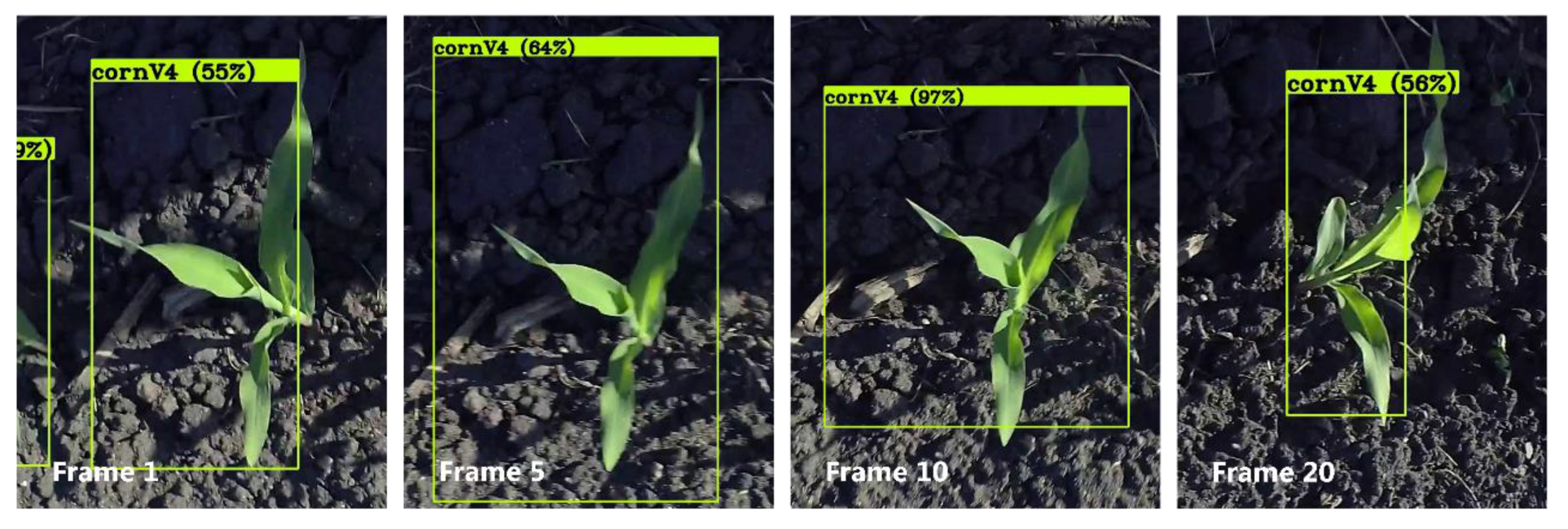 Sensors 21 00507 g004 Sensors 21 00507 g004