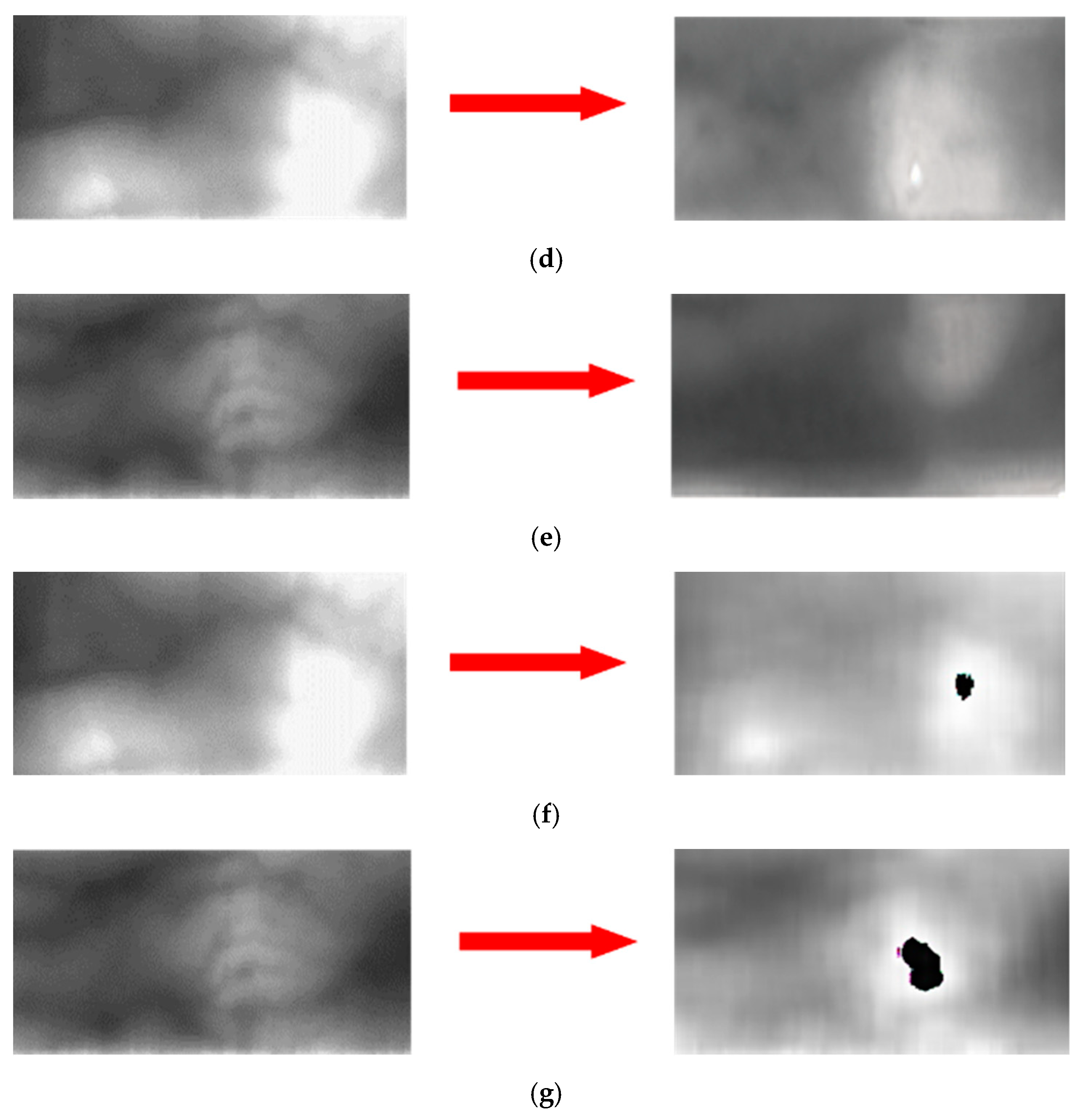 Sensors 21 00524 g011b Sensors 21 00524 g011b