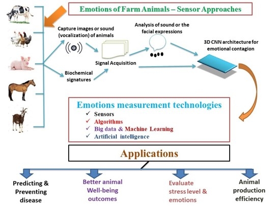 Sensors Free Full Text Measuring Farm Animal Emotions Sensor Based Approaches Html