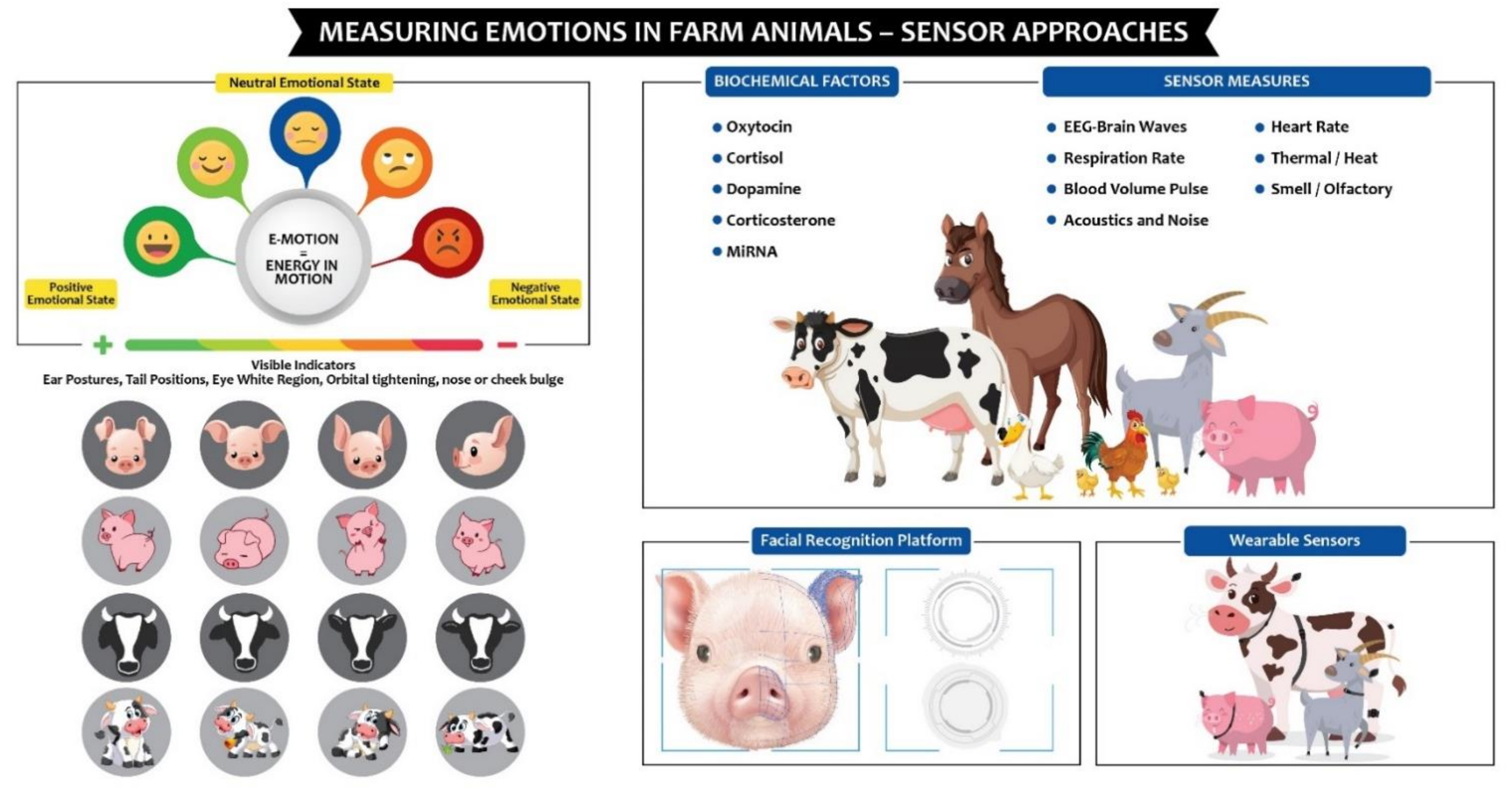 Sensors Free Full Text Measuring Farm Animal Emotions Sensor Based Approaches Html