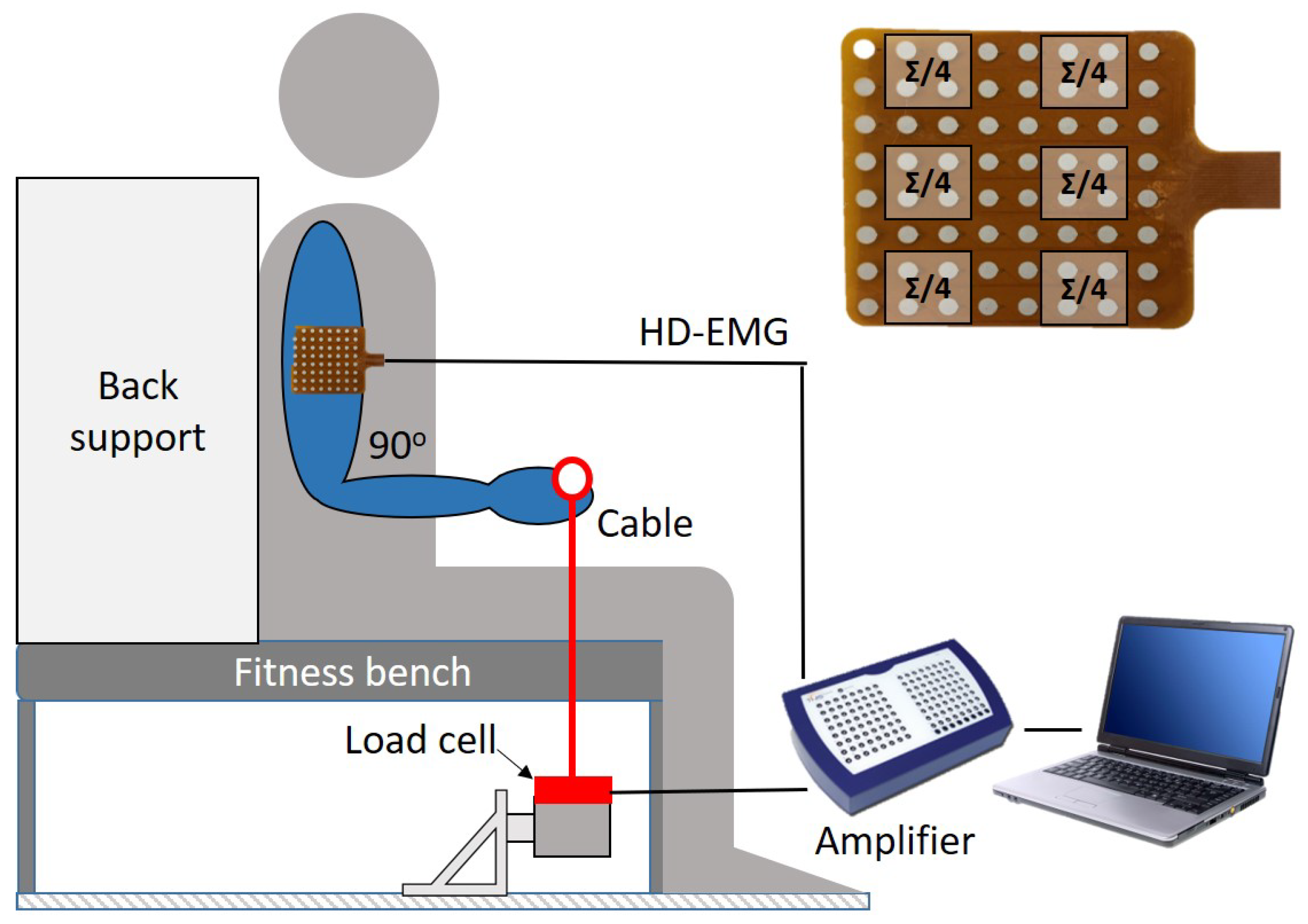 Sensors 21 00573 g001 Sensors 21 00573 g001