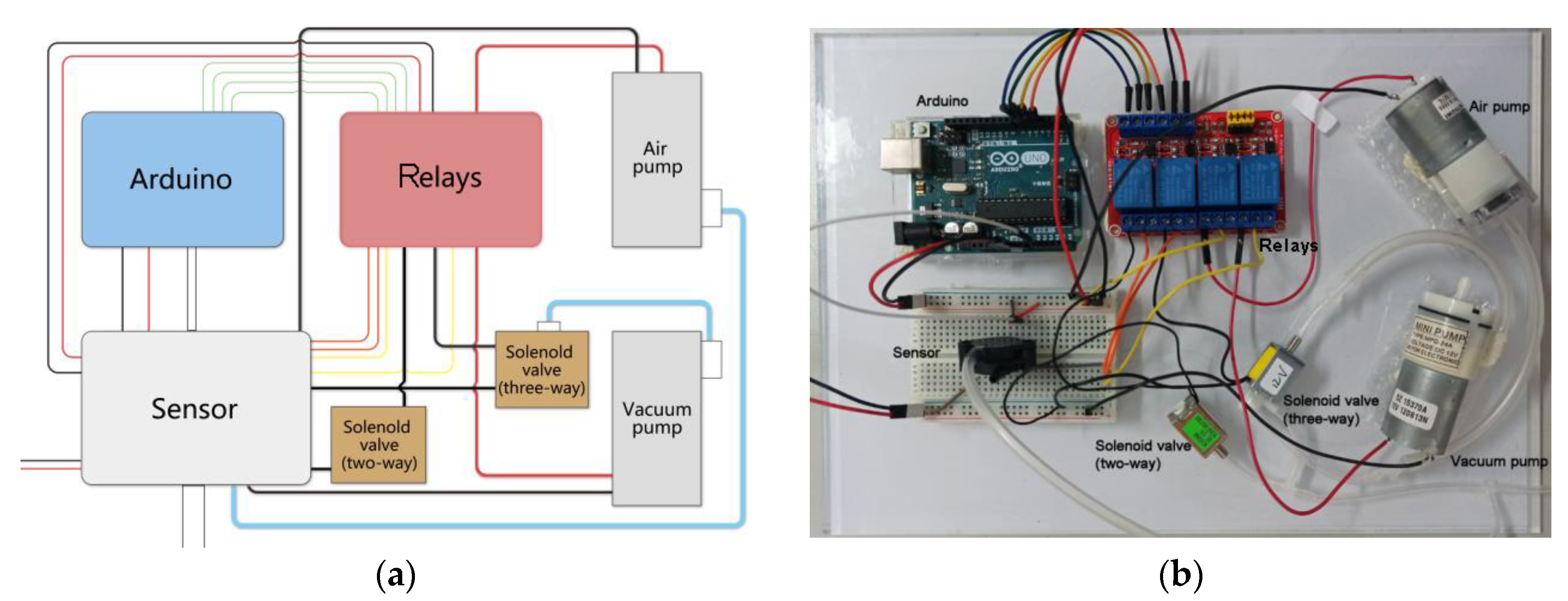 Sensors 21 00578 g006