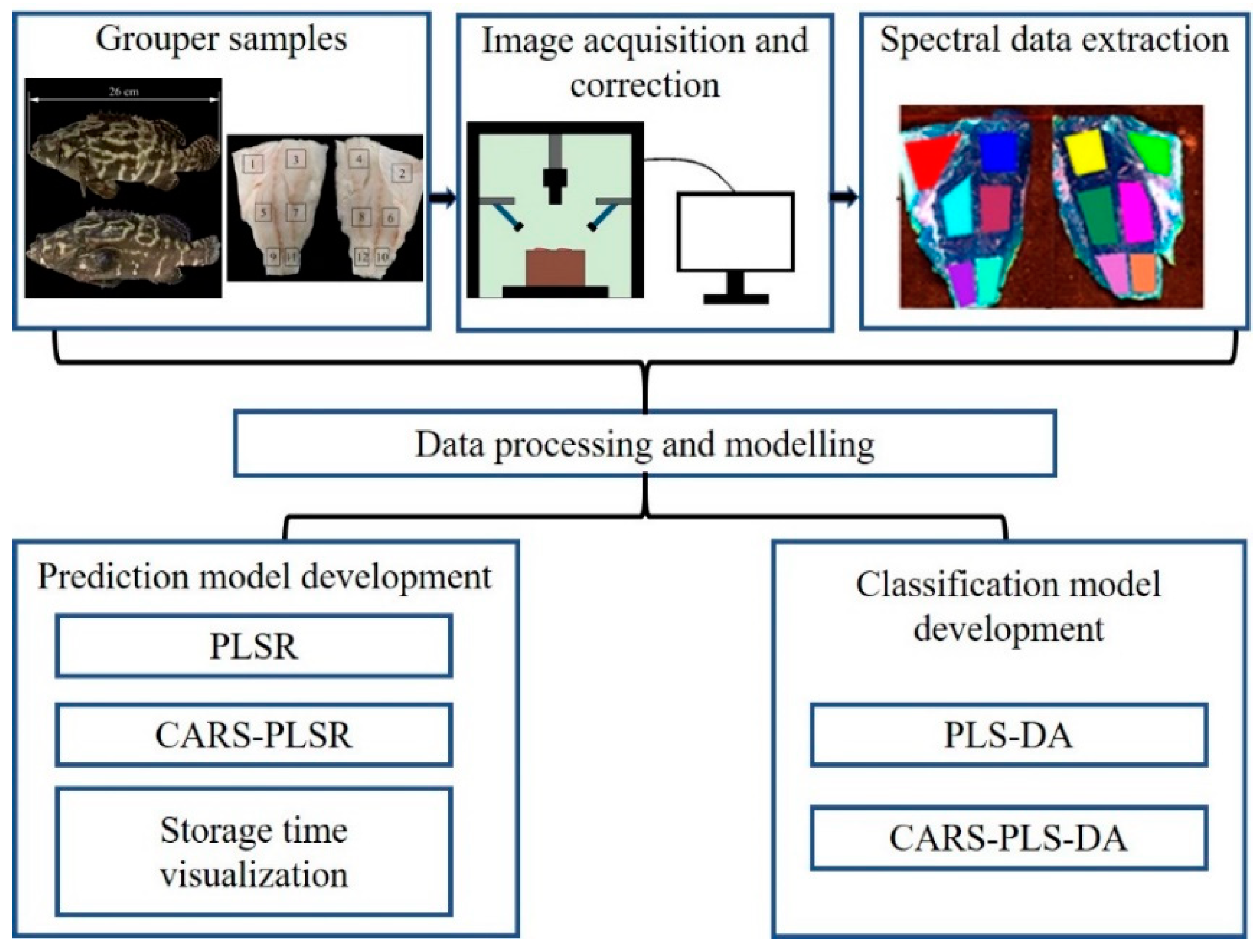 Sensors 21 00583 g001 Sensors 21 00583 g001