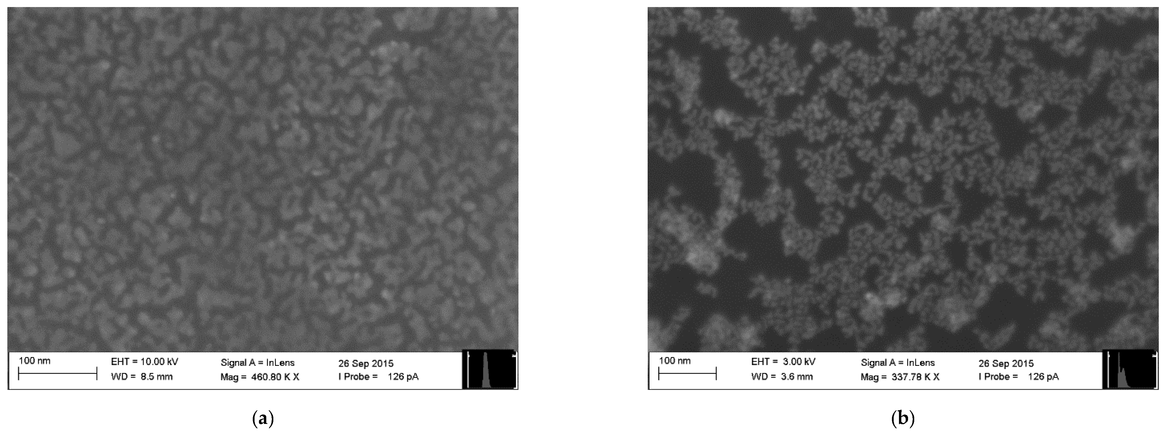 Sensors 21 00584 g001 Sensors 21 00584 g001