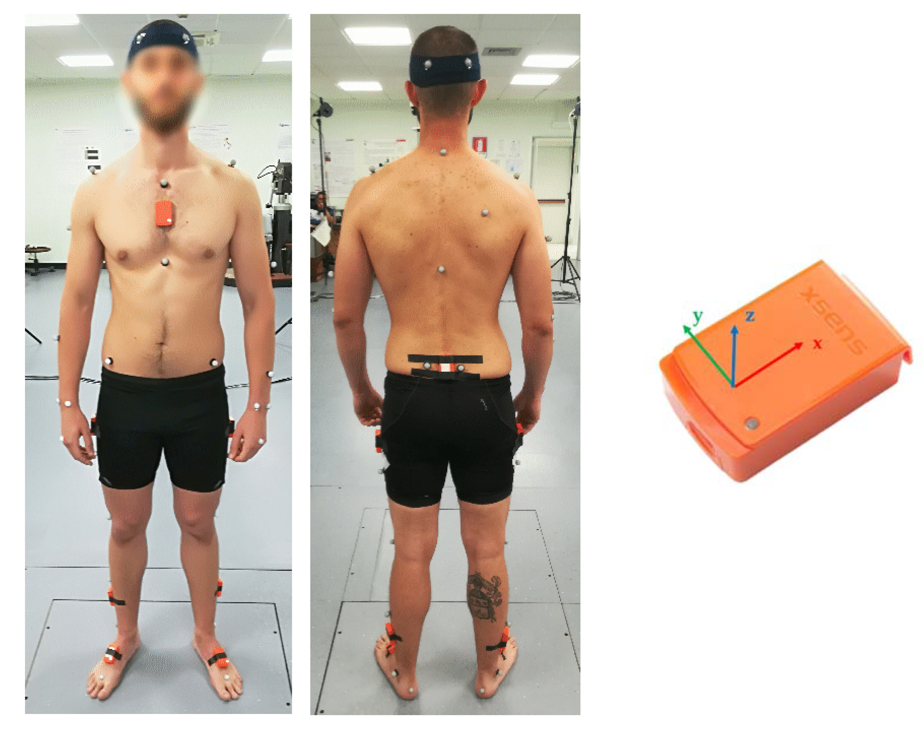 Sensors 21 00601 g001 Sensors 21 00601 g001