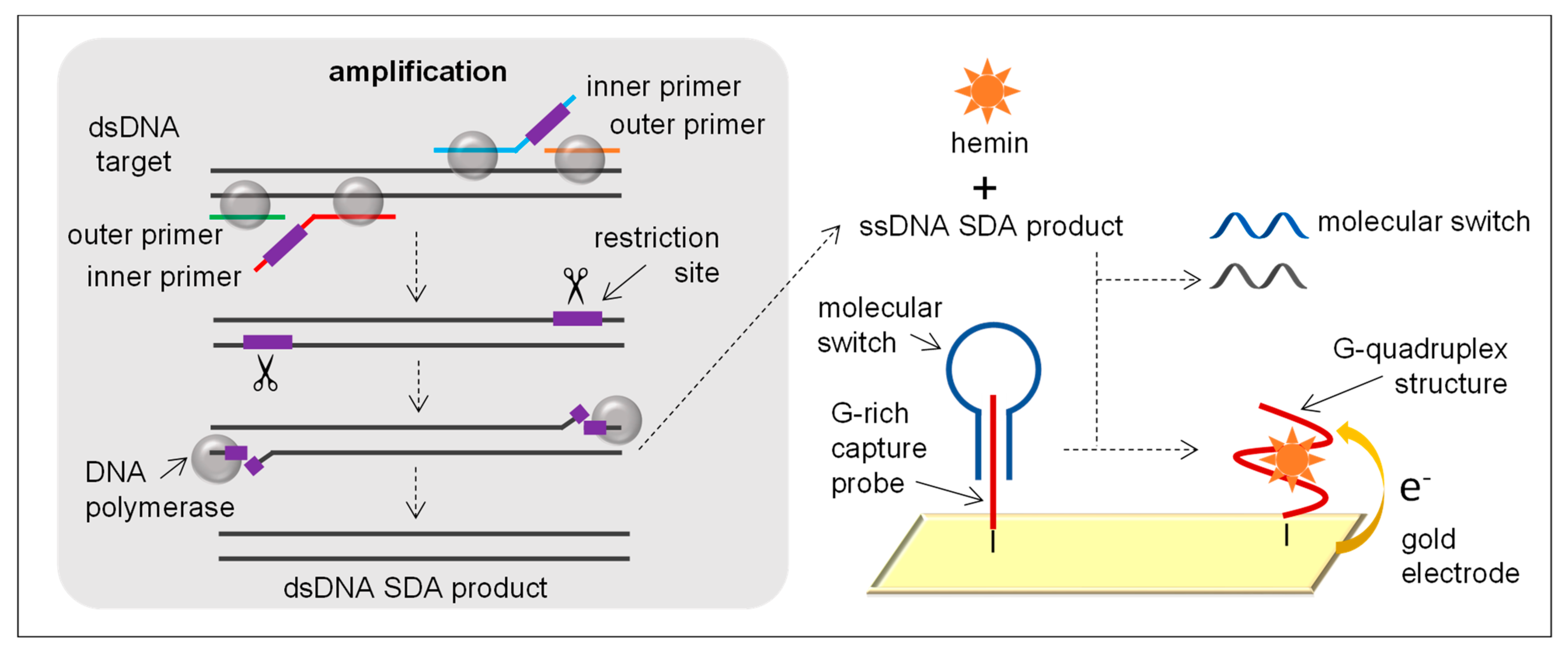 Sensors 21 00602 g005