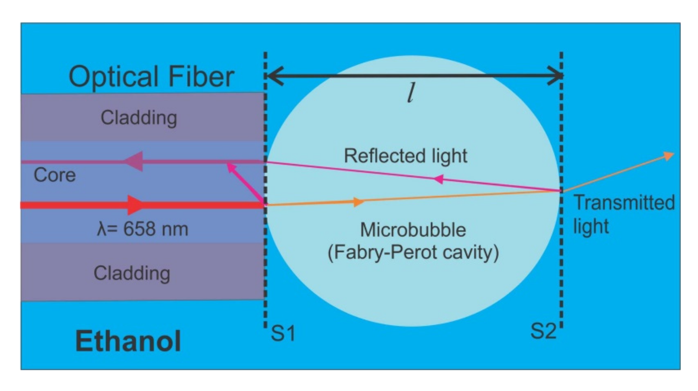 Sensors 21 00628 g001 Sensors 21 00628 g001