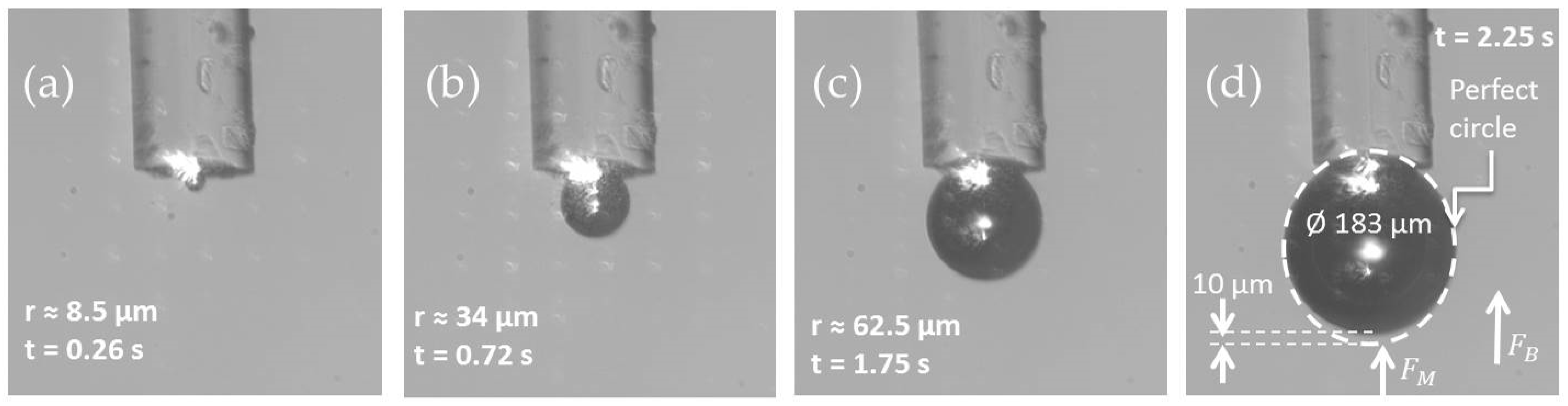 Sensors 21 00628 g004 Sensors 21 00628 g004