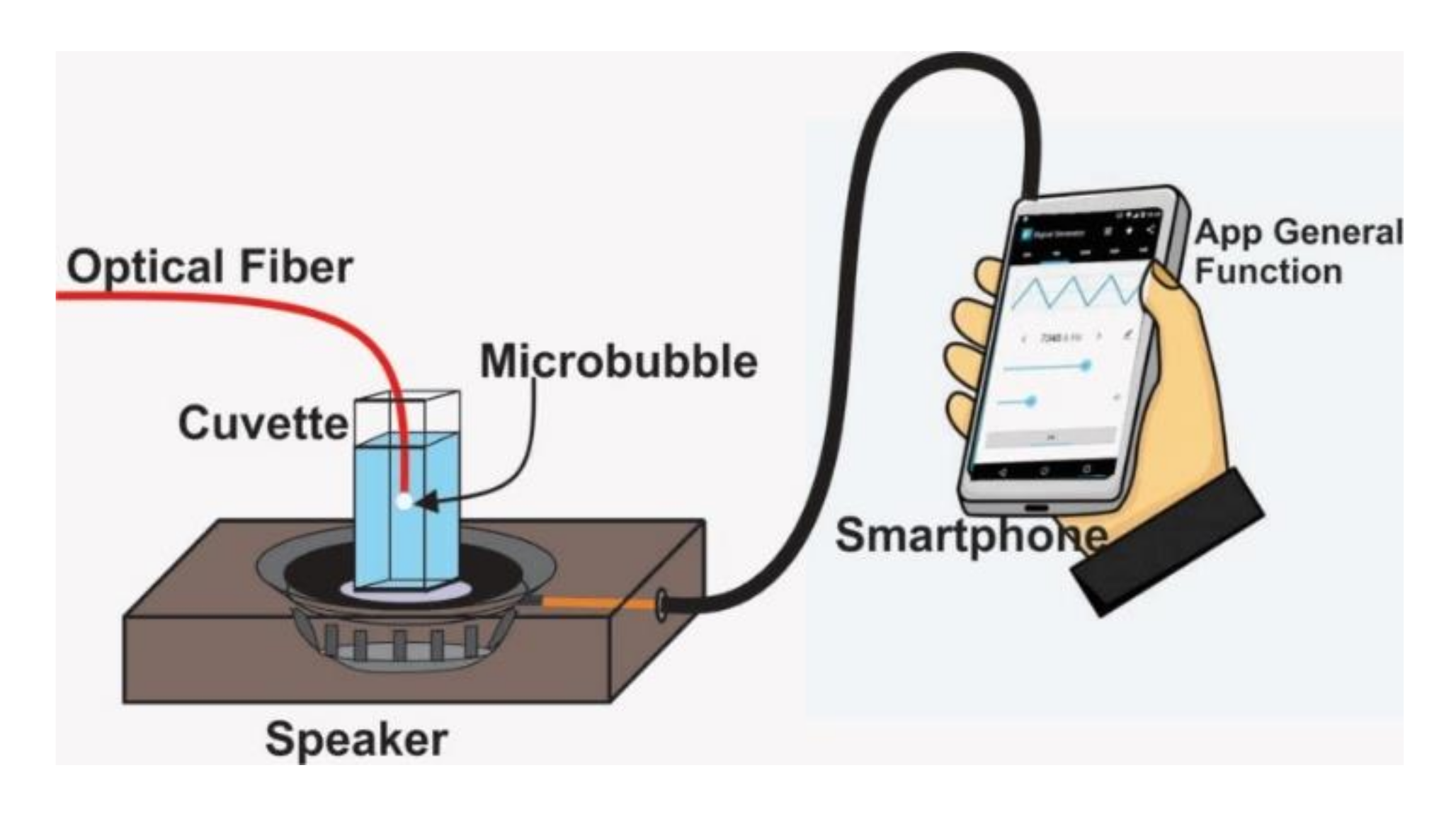 Sensors 21 00628 g007 Sensors 21 00628 g007
