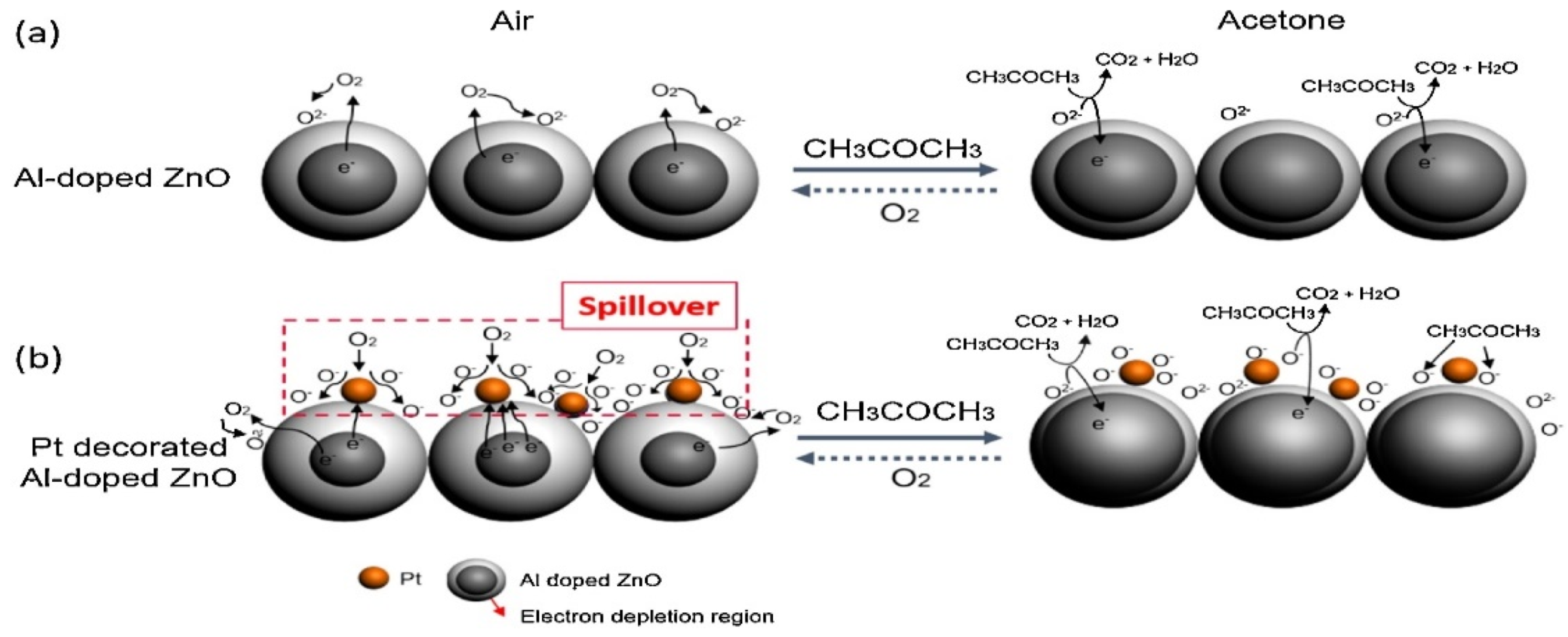 Sensors 21 00633 g002 Sensors 21 00633 g002