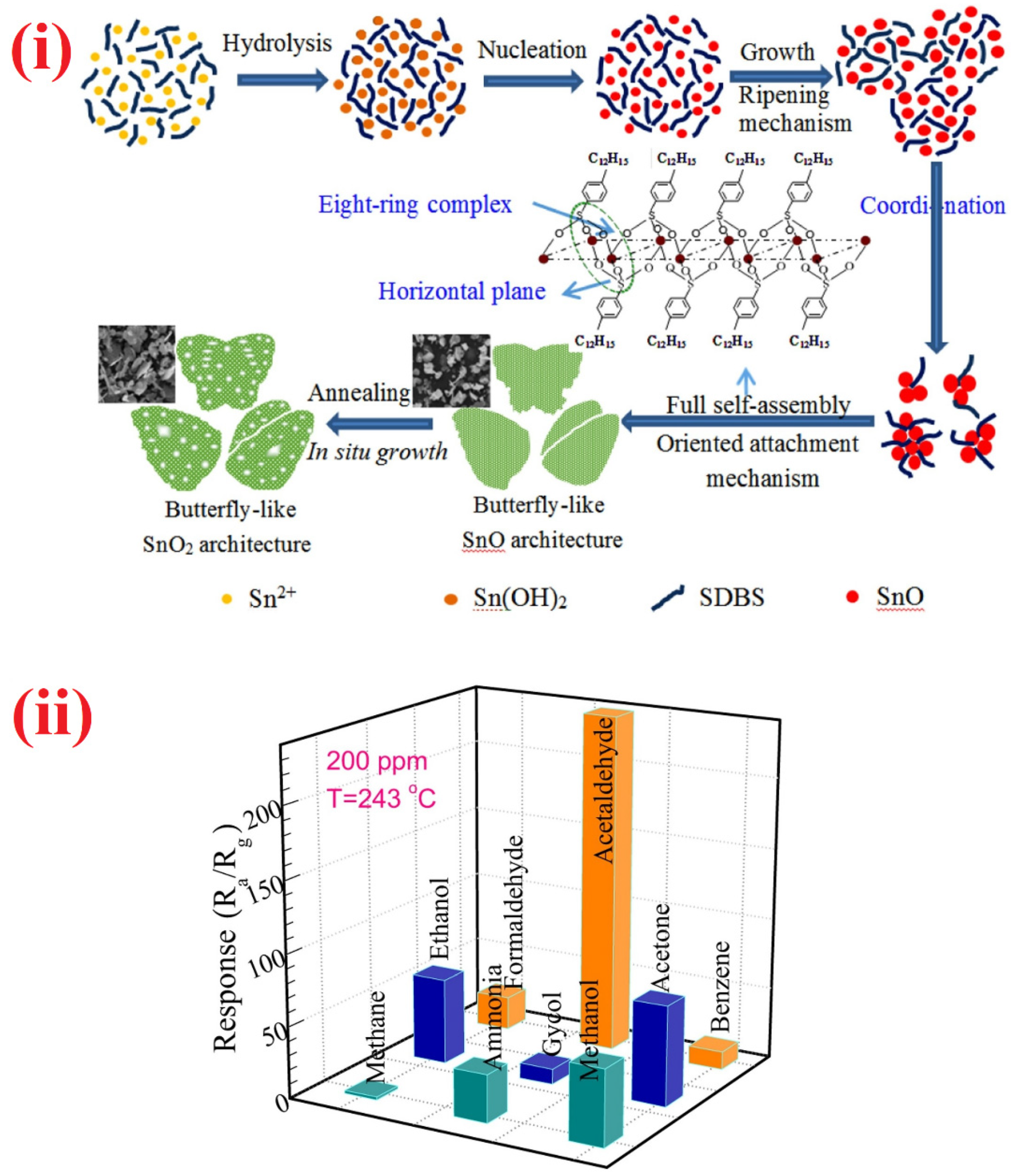 Sensors 21 00633 g017 Sensors 21 00633 g017