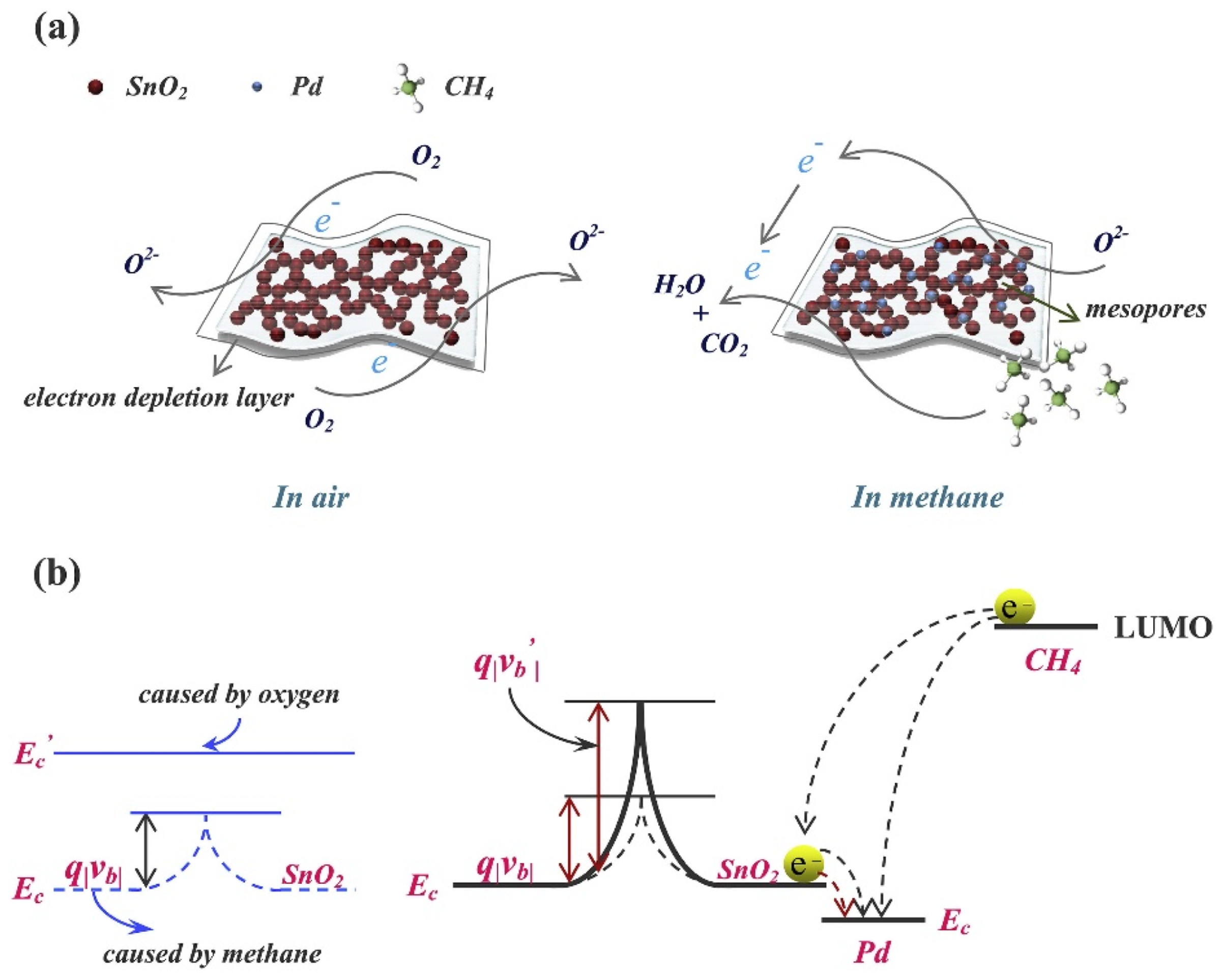 Sensors 21 00633 g023 Sensors 21 00633 g023