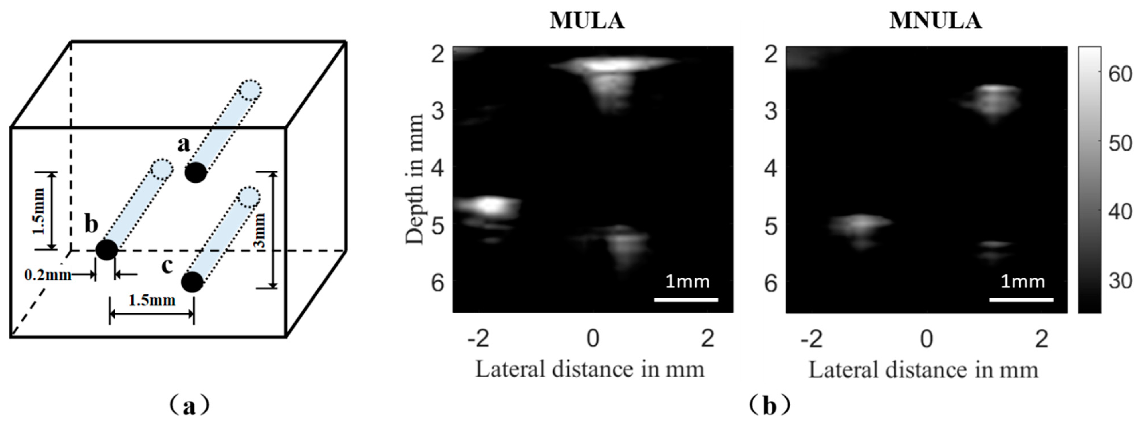 Sensors 21 00640 g015 Sensors 21 00640 g015