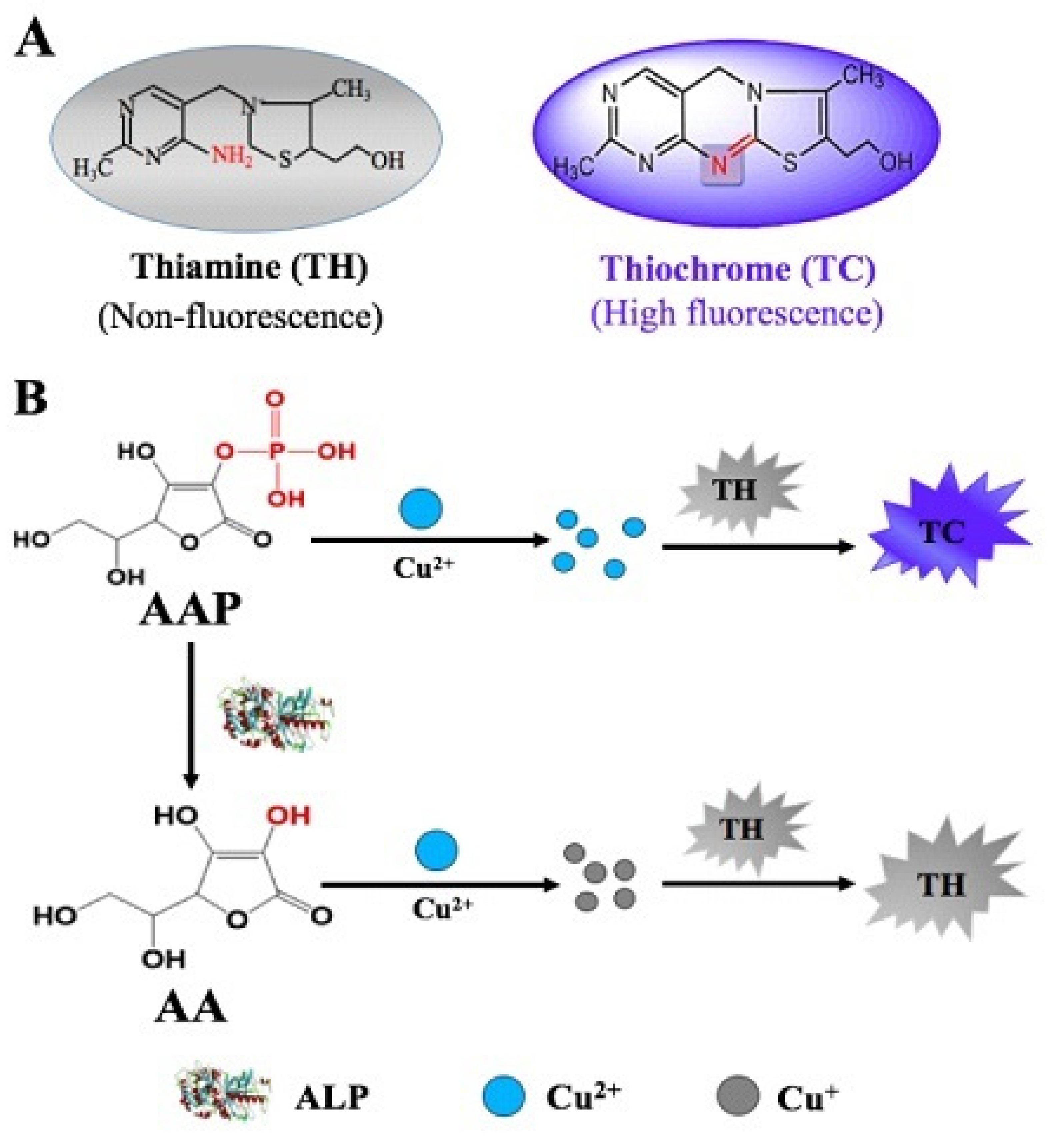 Sensors 21 00674 sch001