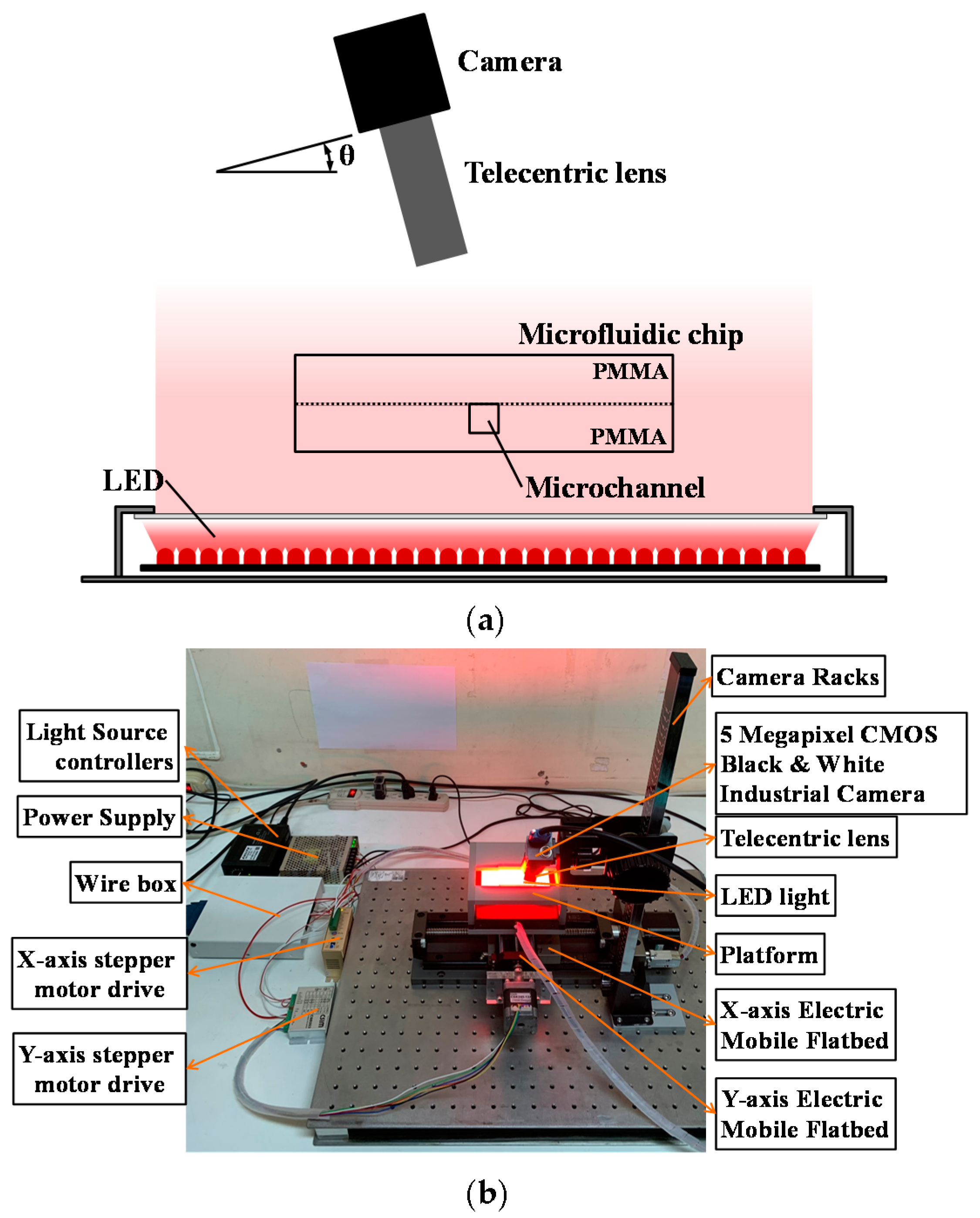 Sensors Free FullText Development of an Automated Optical