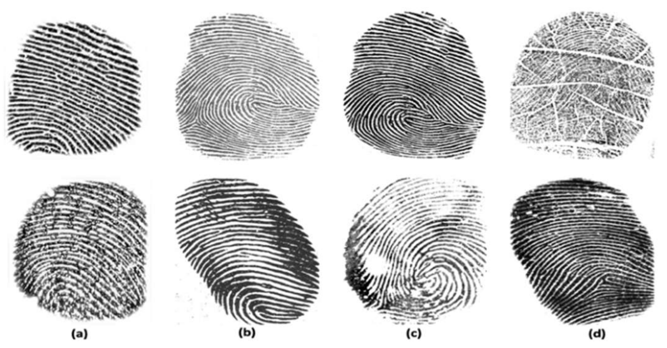 Sensors 21 00699 g005 Sensors 21 00699 g005