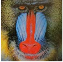 Sensors 21 00701 i071