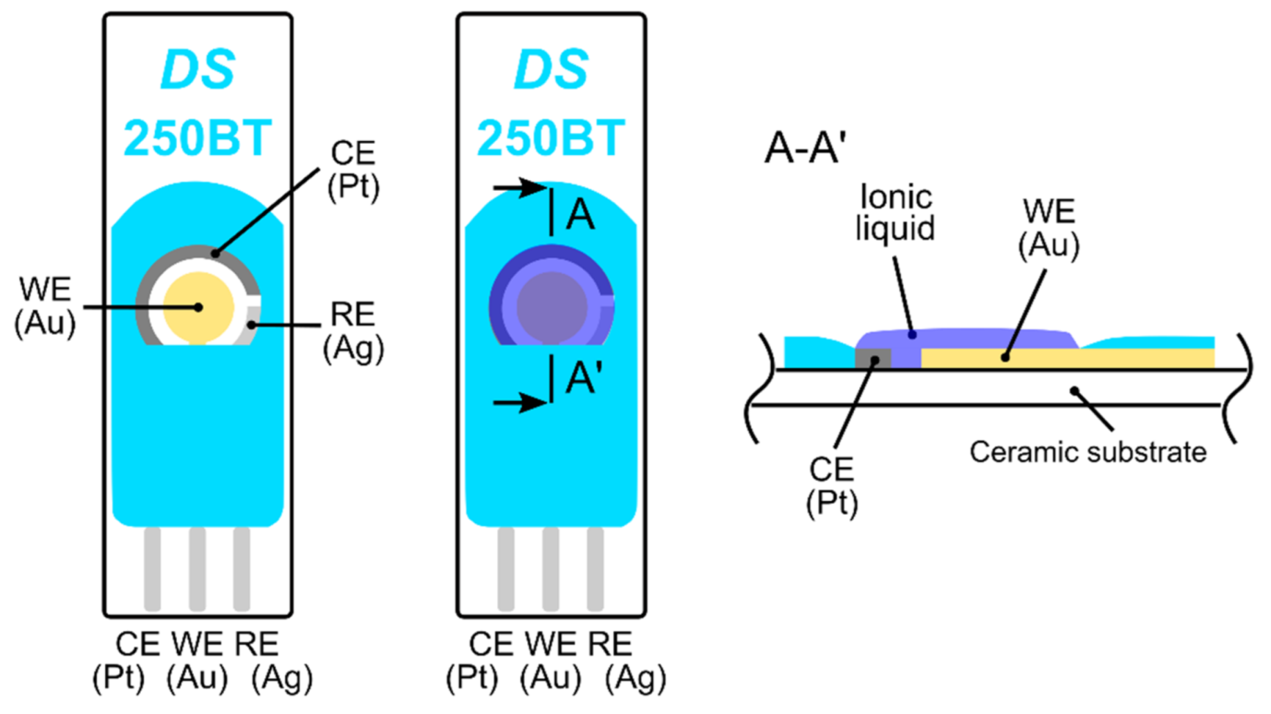 Sensors 21 00711 g001 Sensors 21 00711 g001
