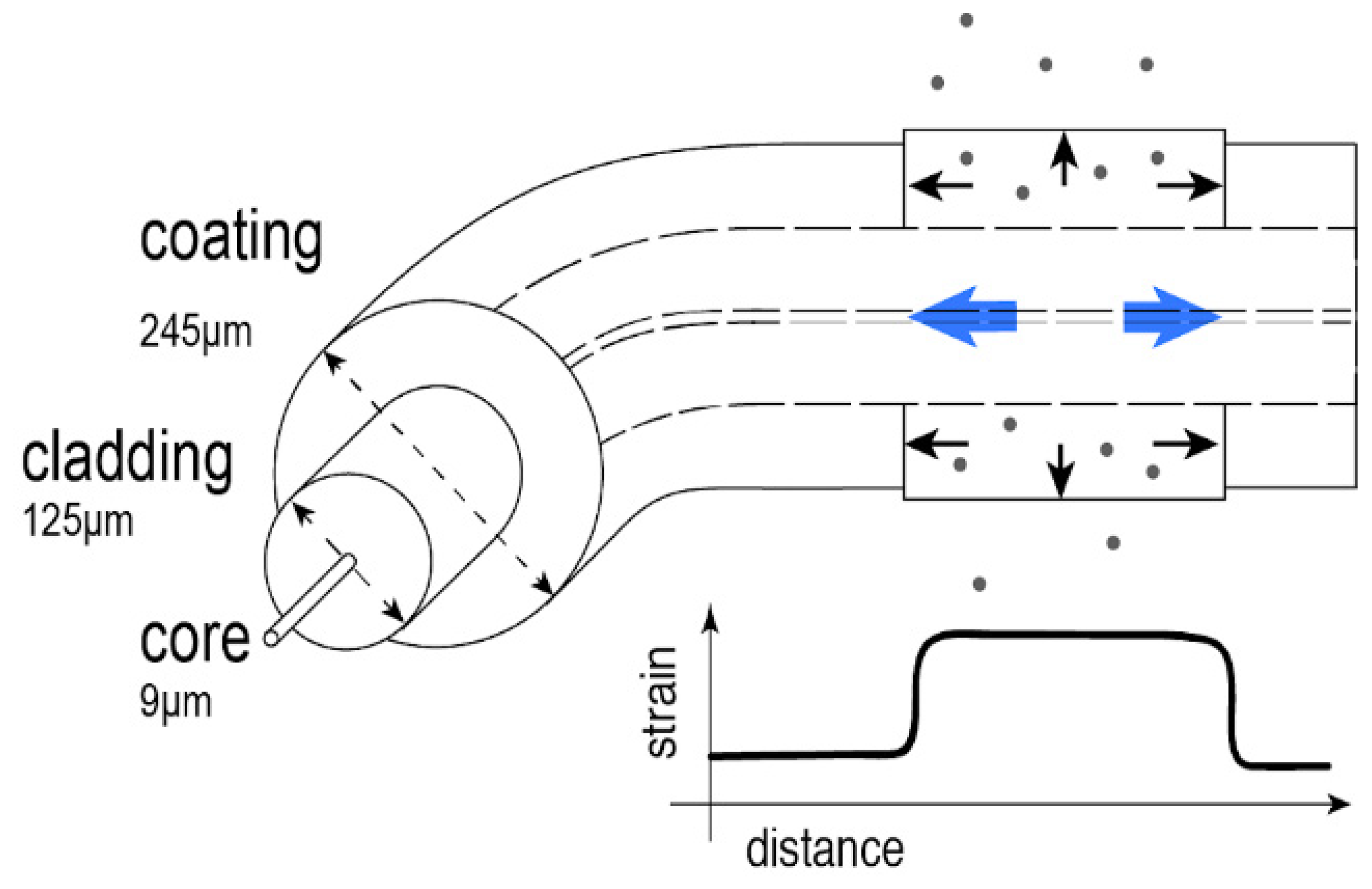 Sensors 21 00718 g001 Sensors 21 00718 g001
