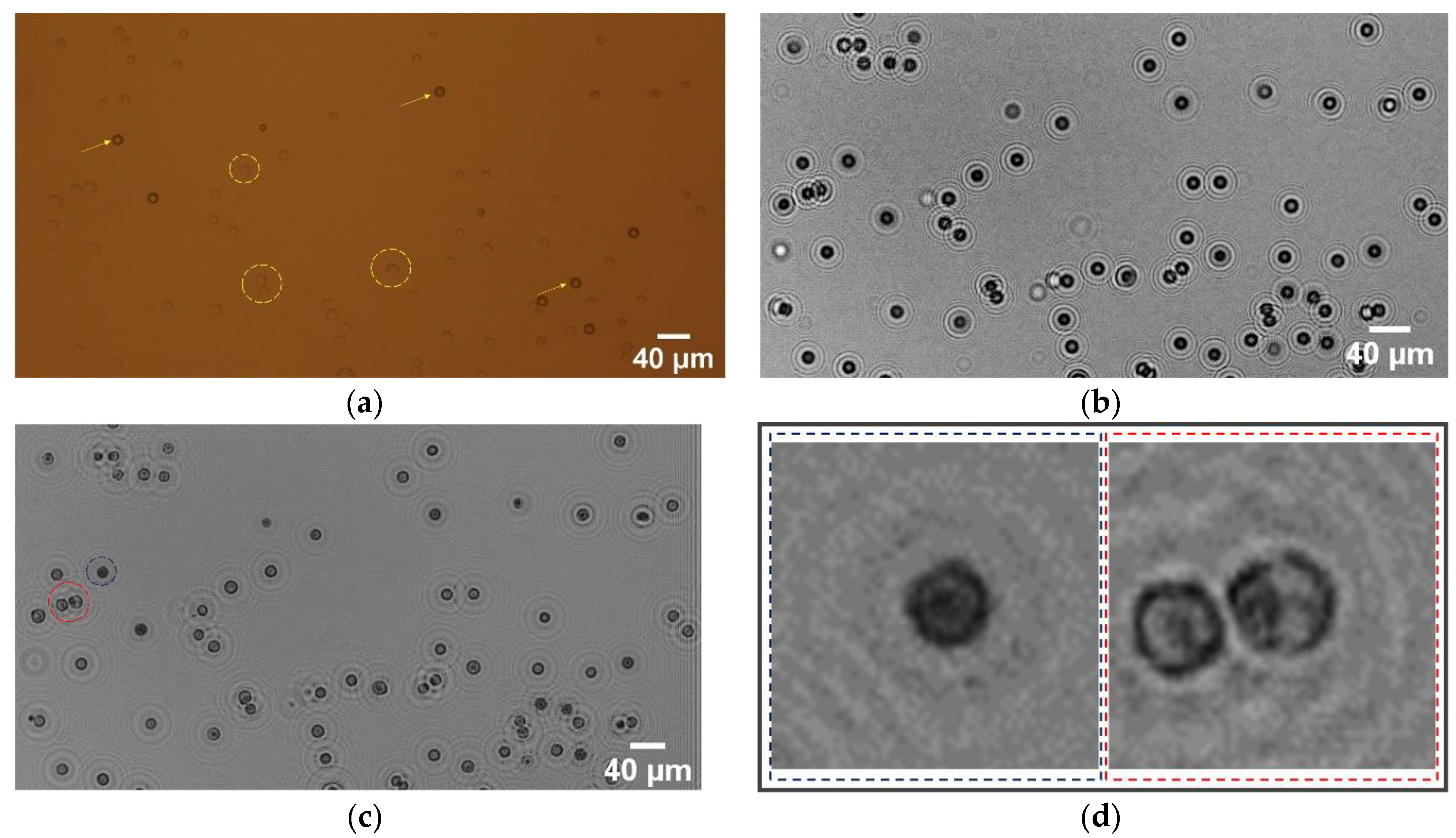 Sensors 21 00720 g004 Sensors 21 00720 g004