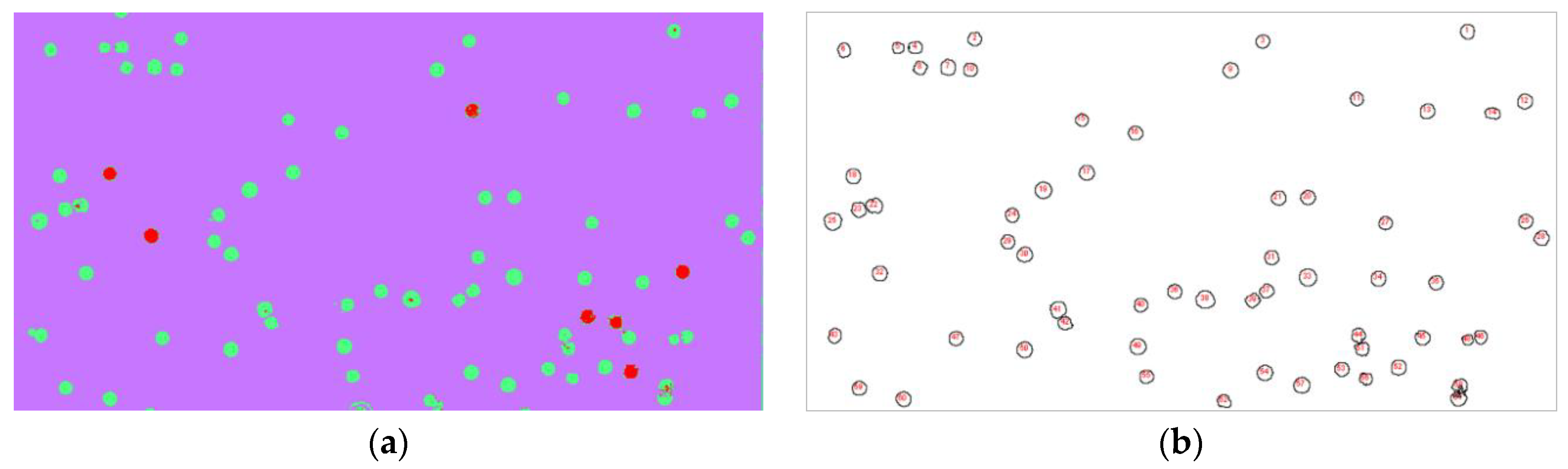 Sensors 21 00720 g005 Sensors 21 00720 g005