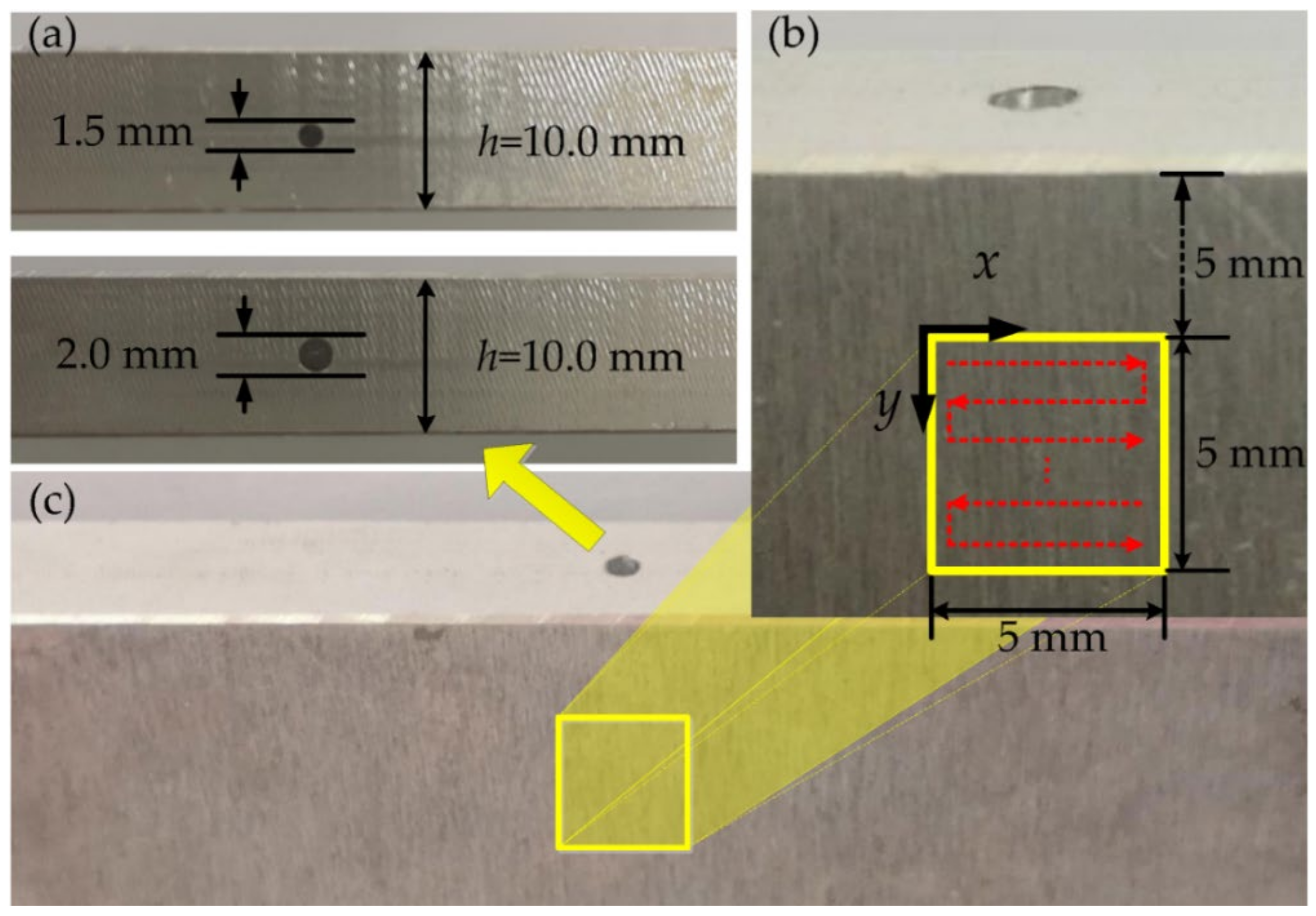 Sensors 21 00723 g003