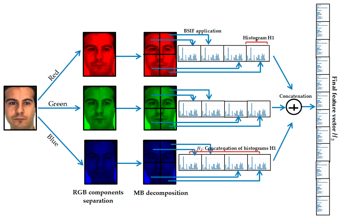 Sensors 21 00728 g005