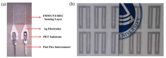 Sensors 21 00739 g007 550