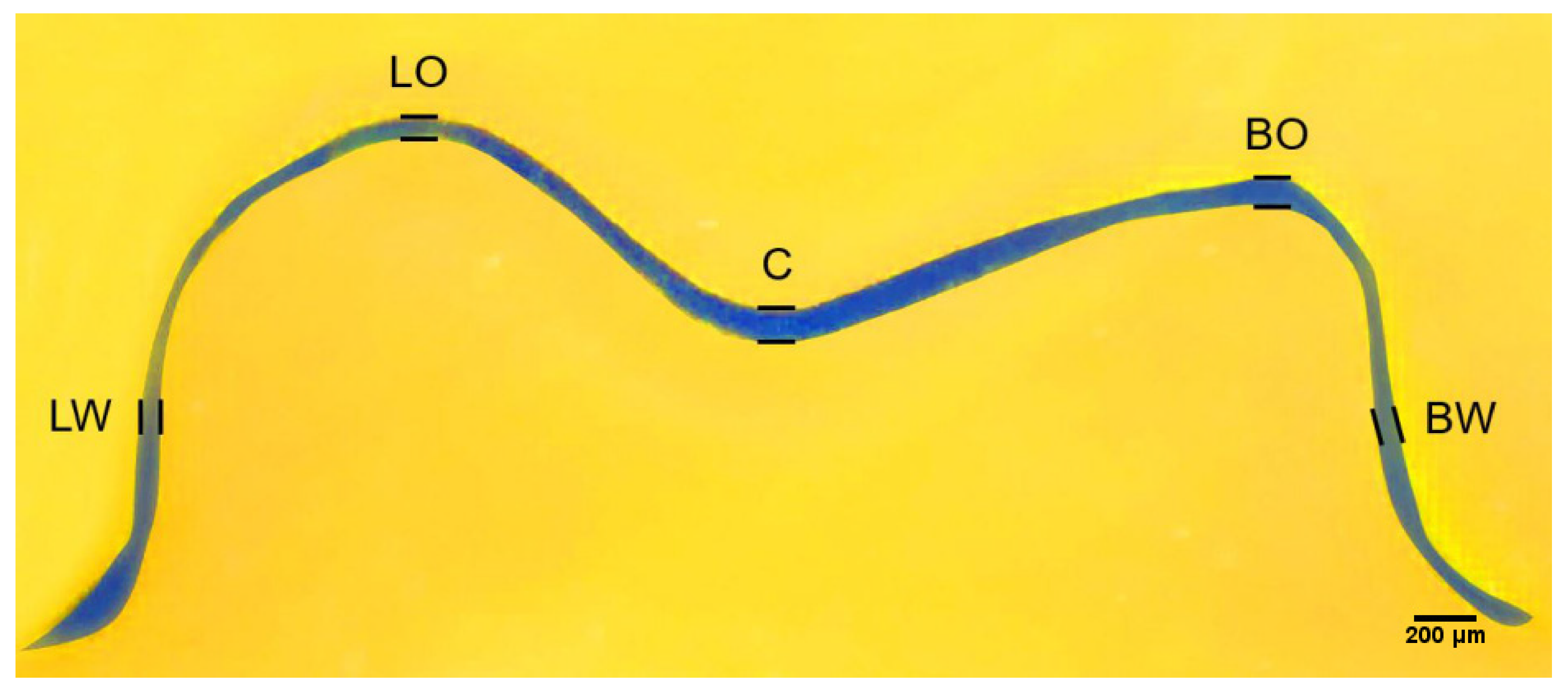 Sensors 21 00740 g002 Sensors 21 00740 g002