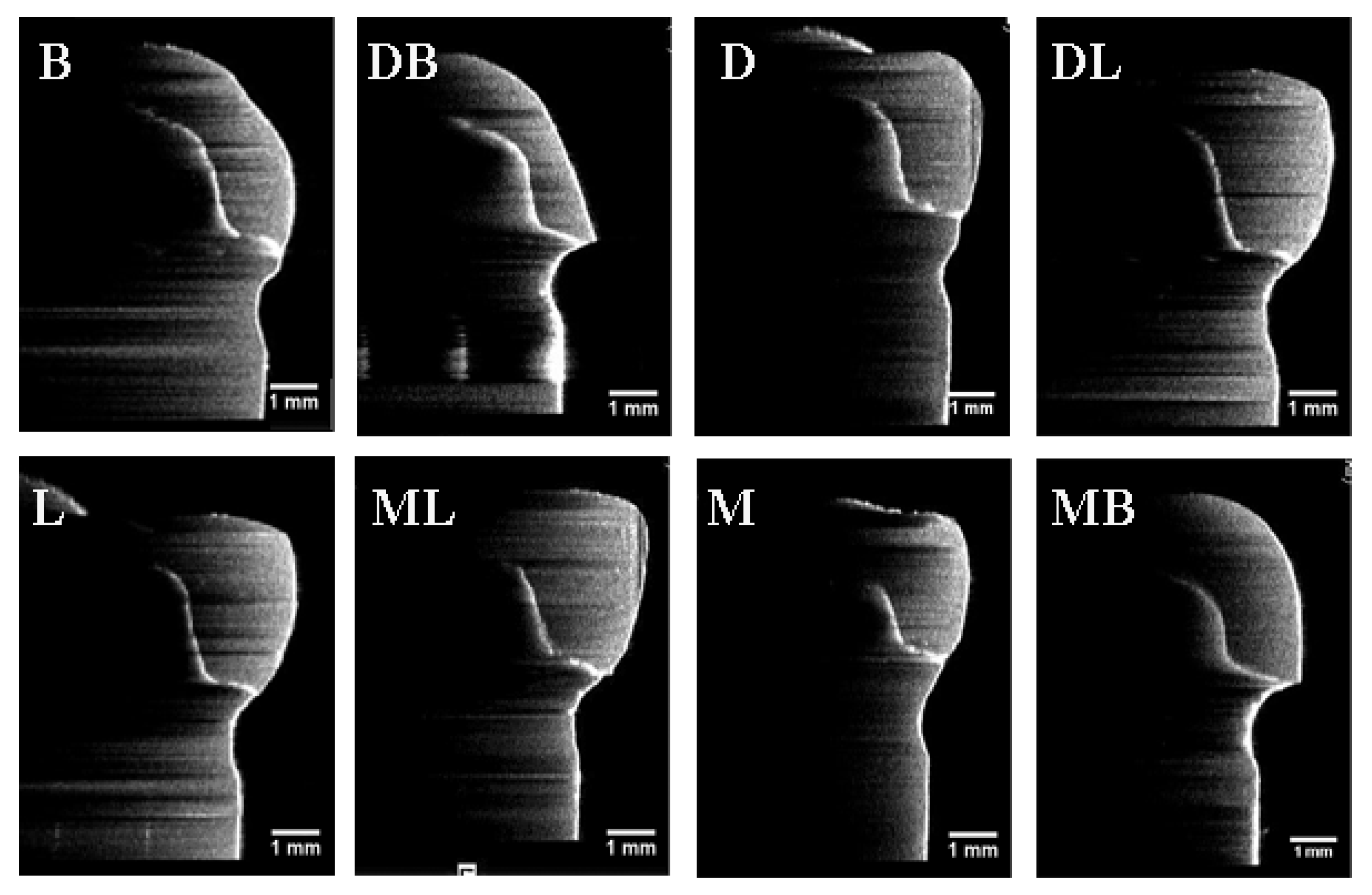 Sensors 21 00740 g005 Sensors 21 00740 g005