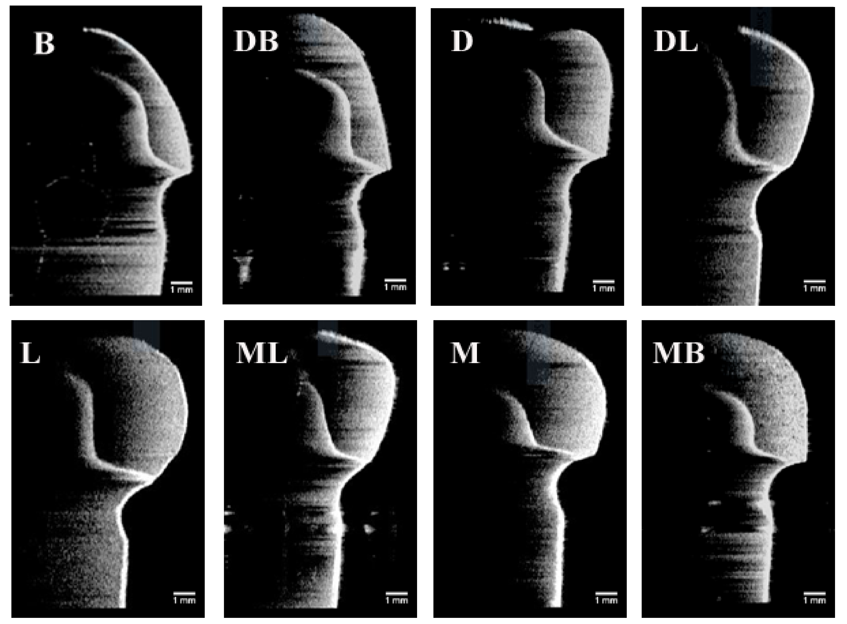 Sensors 21 00740 g006 Sensors 21 00740 g006