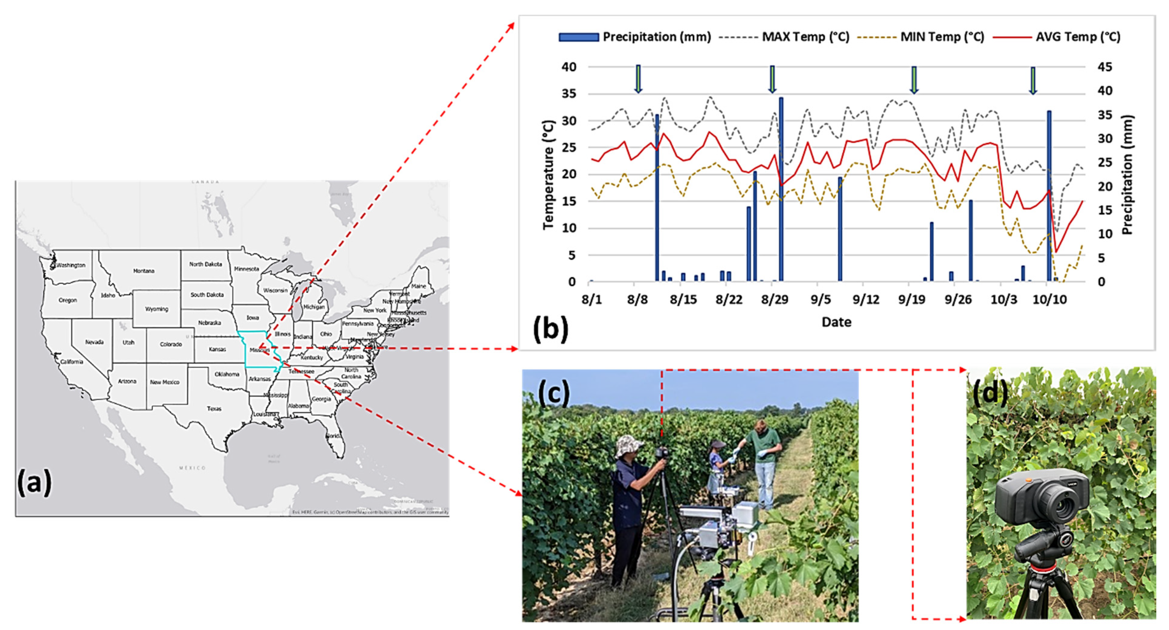 Sensors 21 00742 g001 Sensors 21 00742 g001