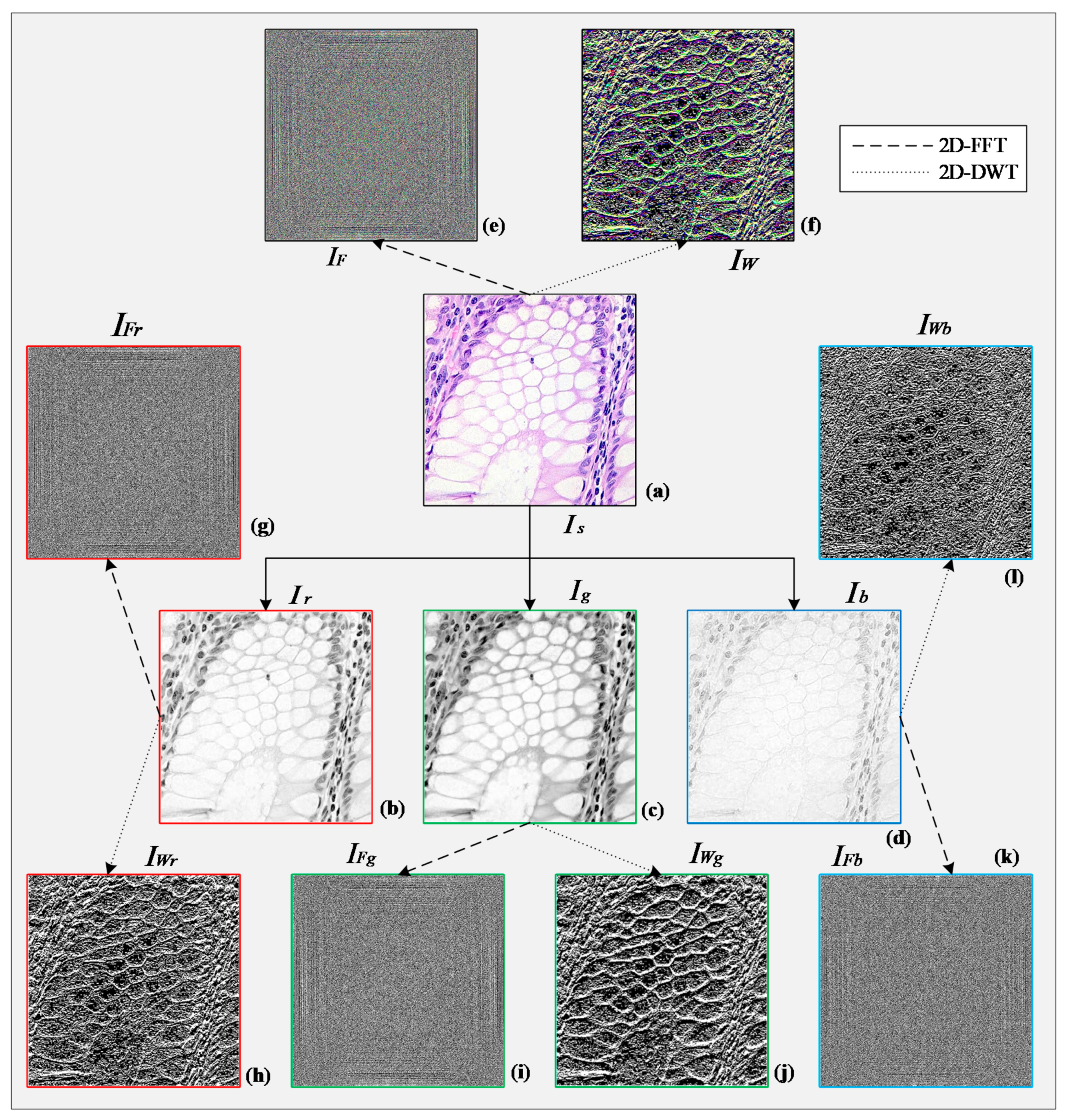 Sensors 21 00748 g003