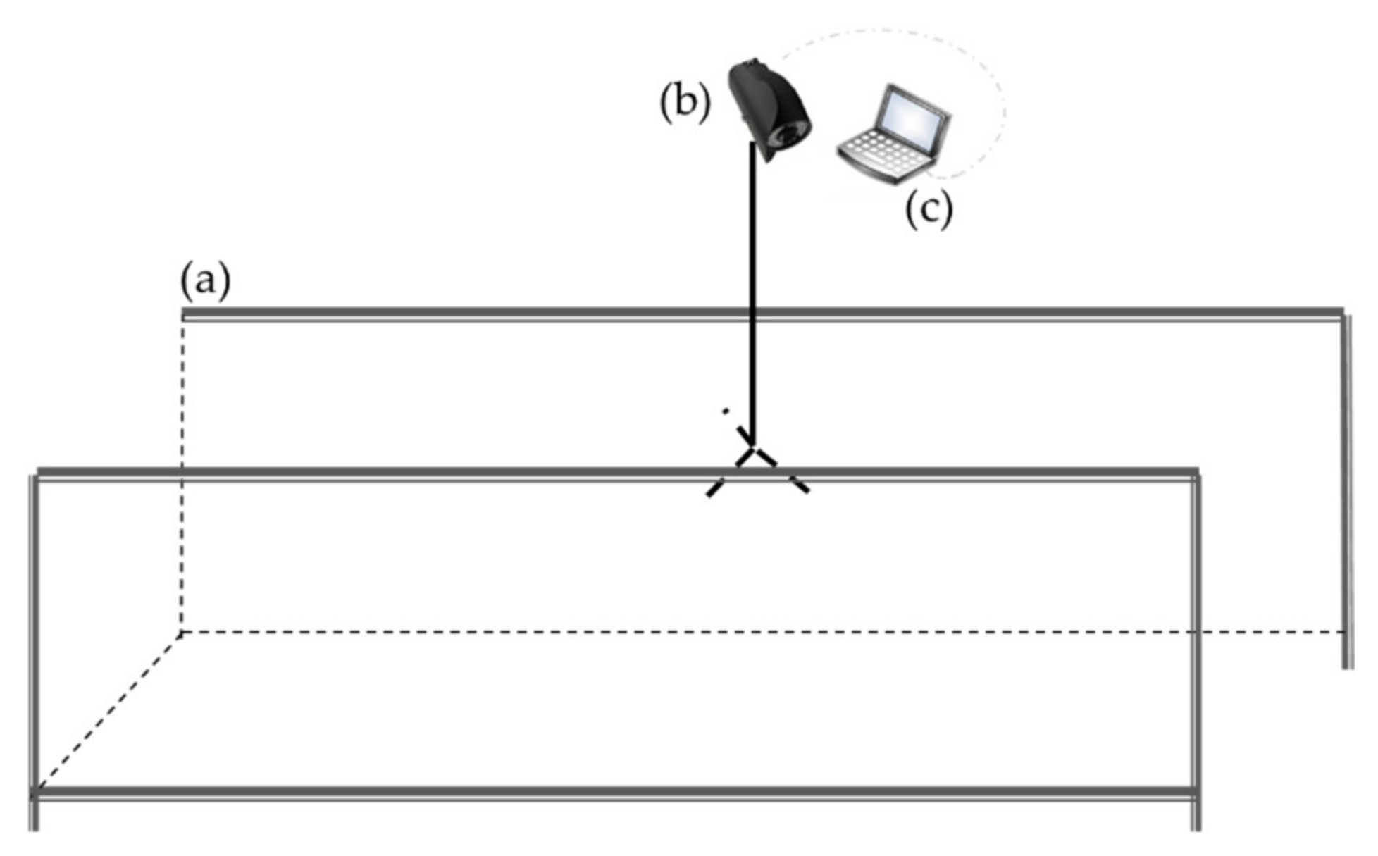 Sensors 21 00753 g001