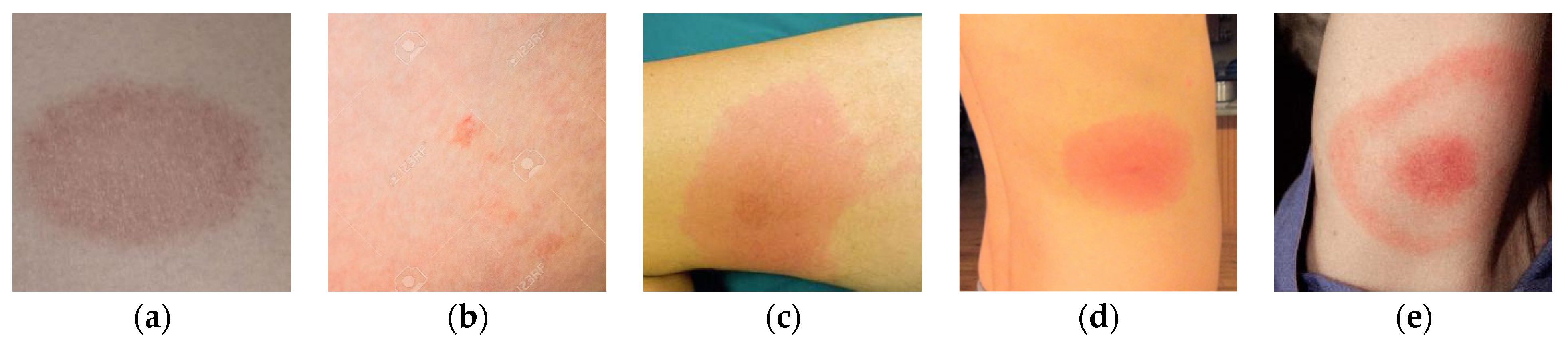 Sensors 21 00764 g012